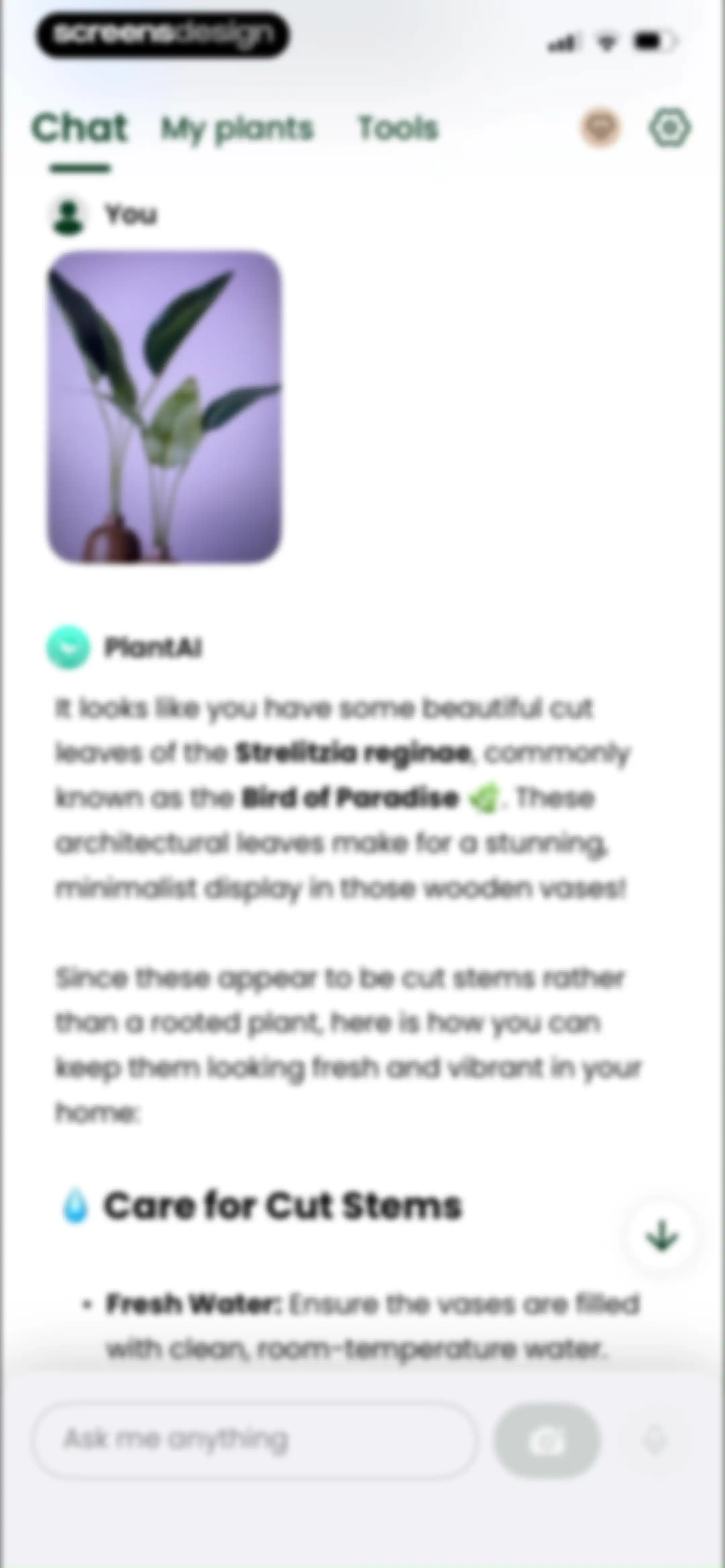 PlantAI: Identifier & Diagnose screen 22