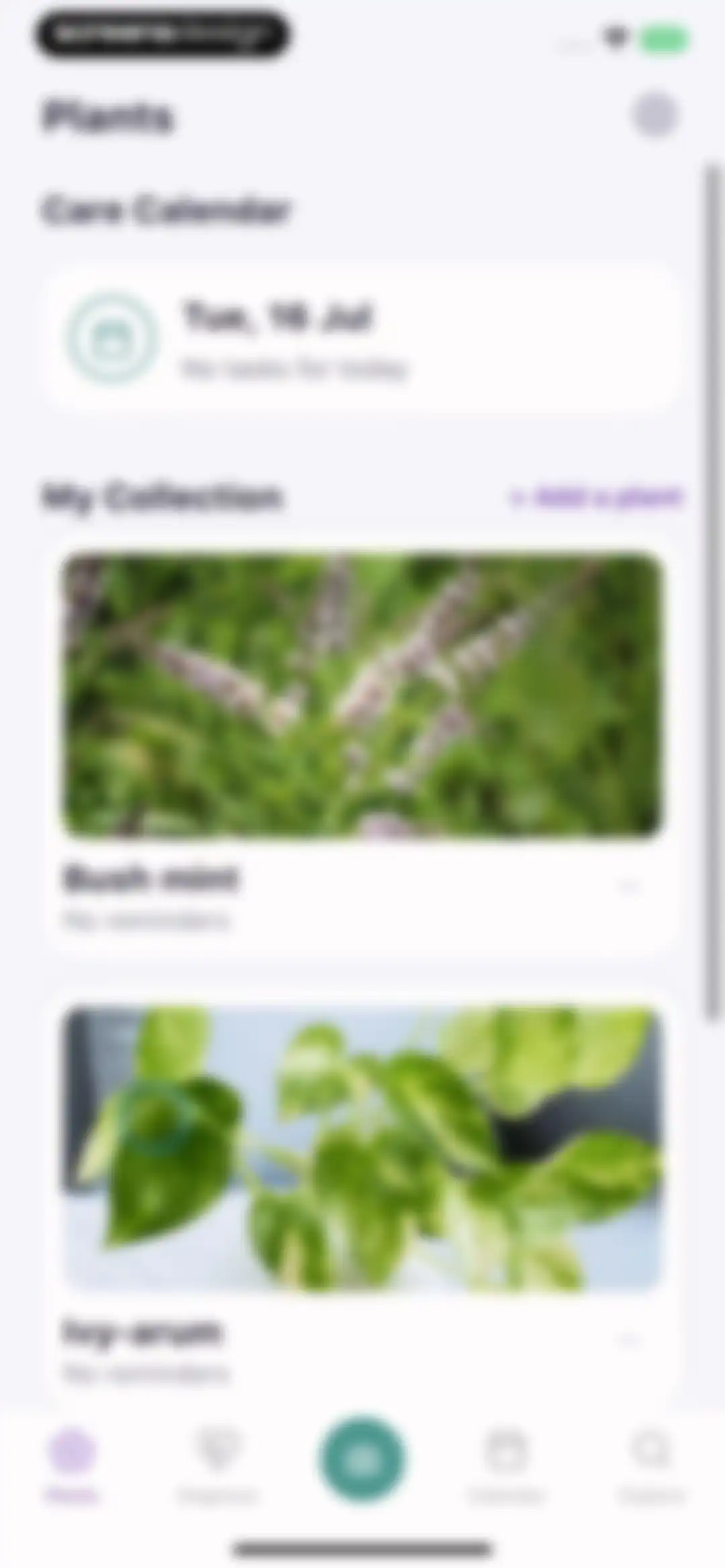 AI Plant Identifier・Care－Lily screen 48