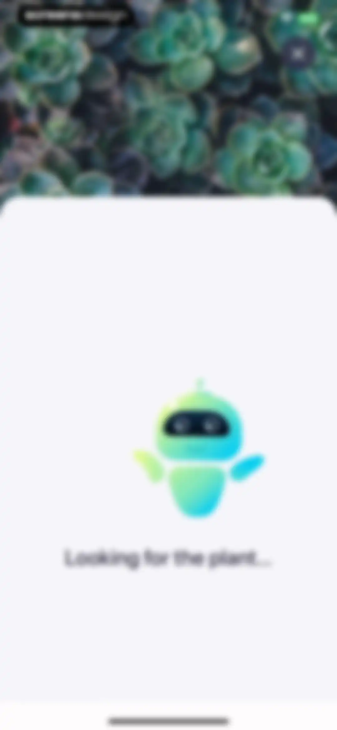 AI Plant Identifier・Care－Lily screen 14