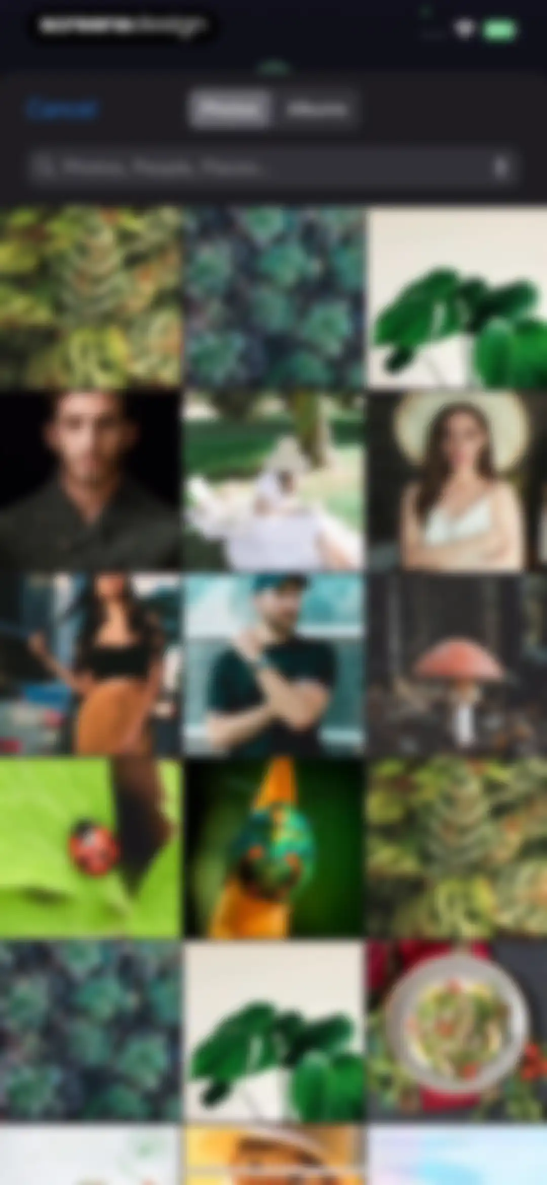 Plant Identifier, Care: Planty screen 42