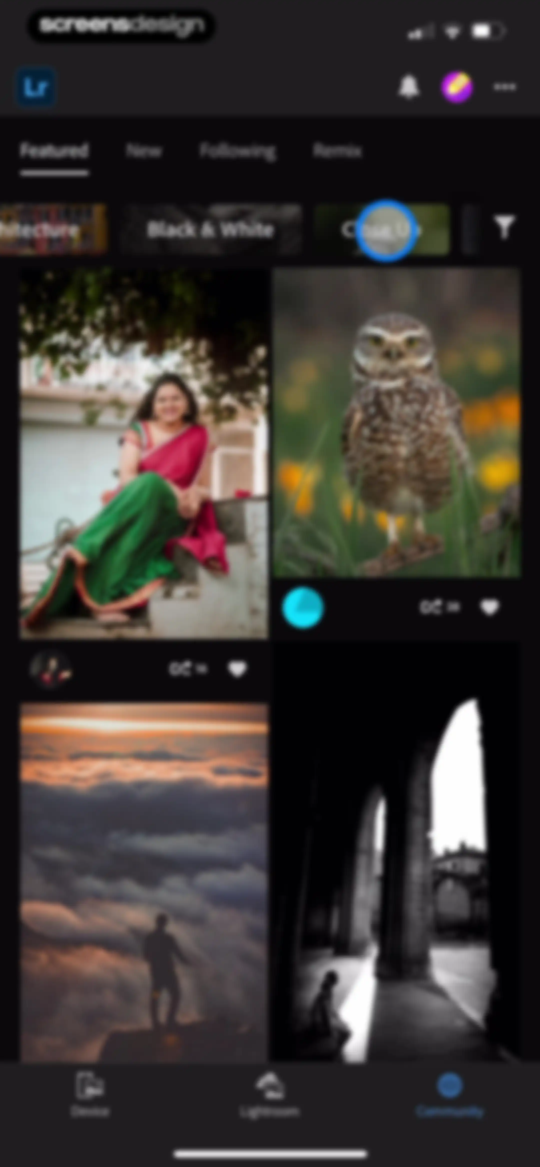 Lightroom: AI Photo Editor screen 172