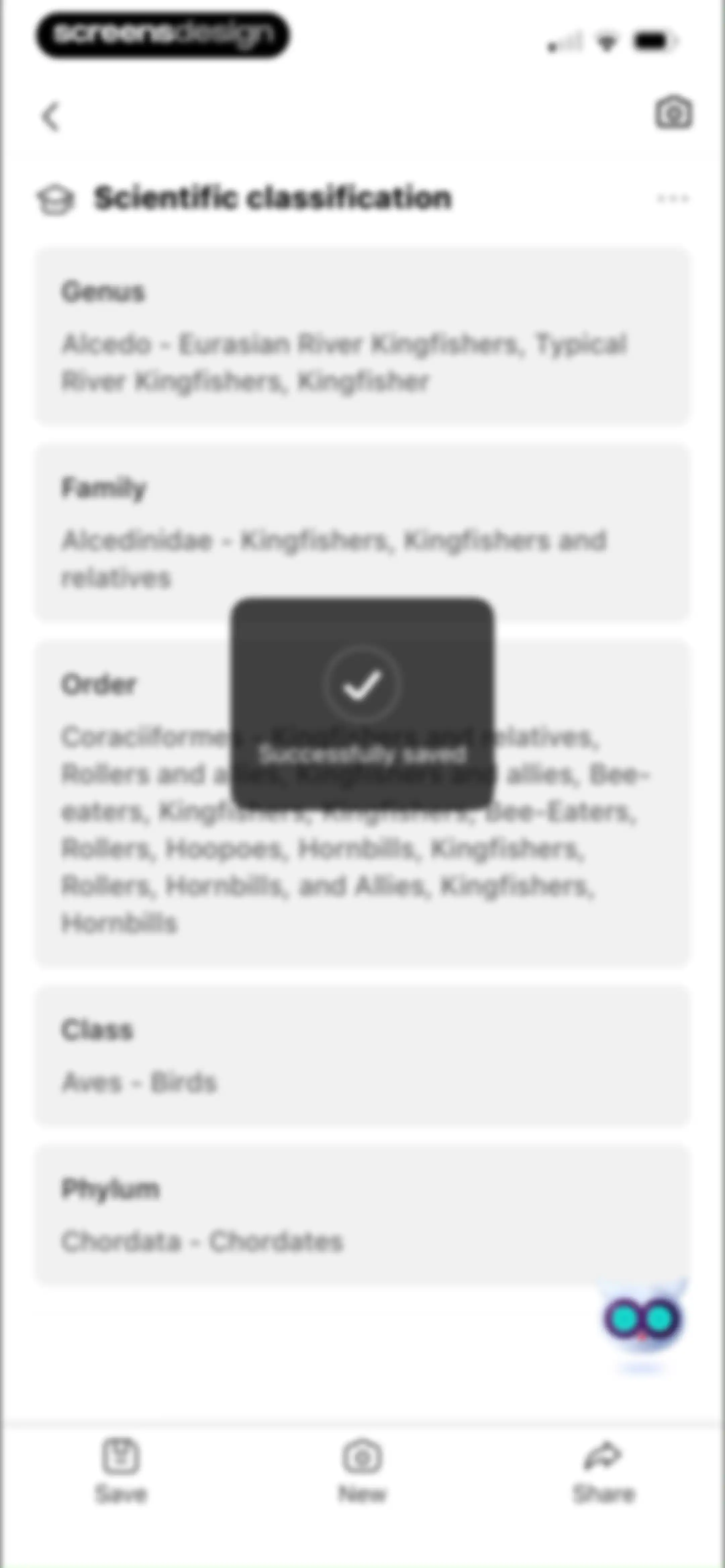 Picture Bird: Bird identifier screen 43