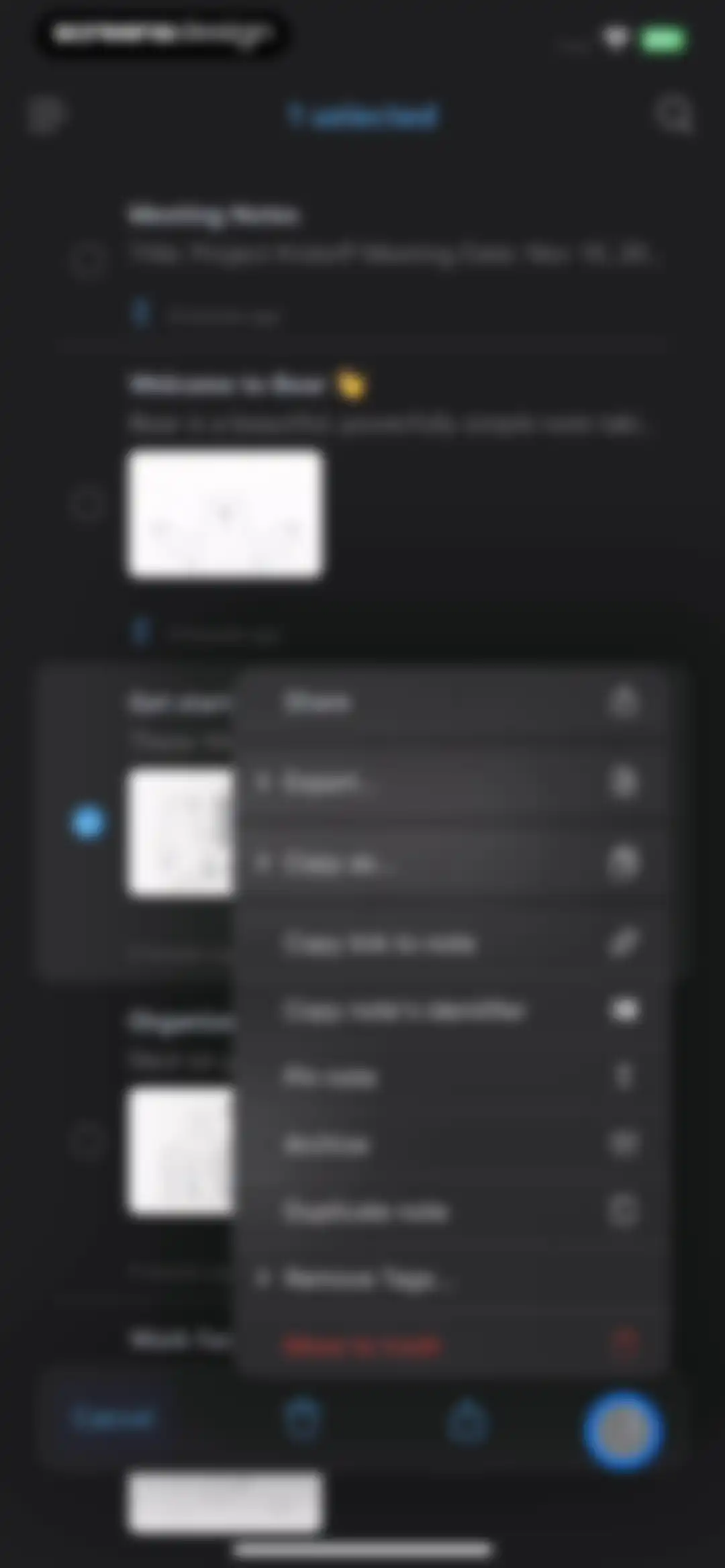 Bear - Markdown Notes screen 44