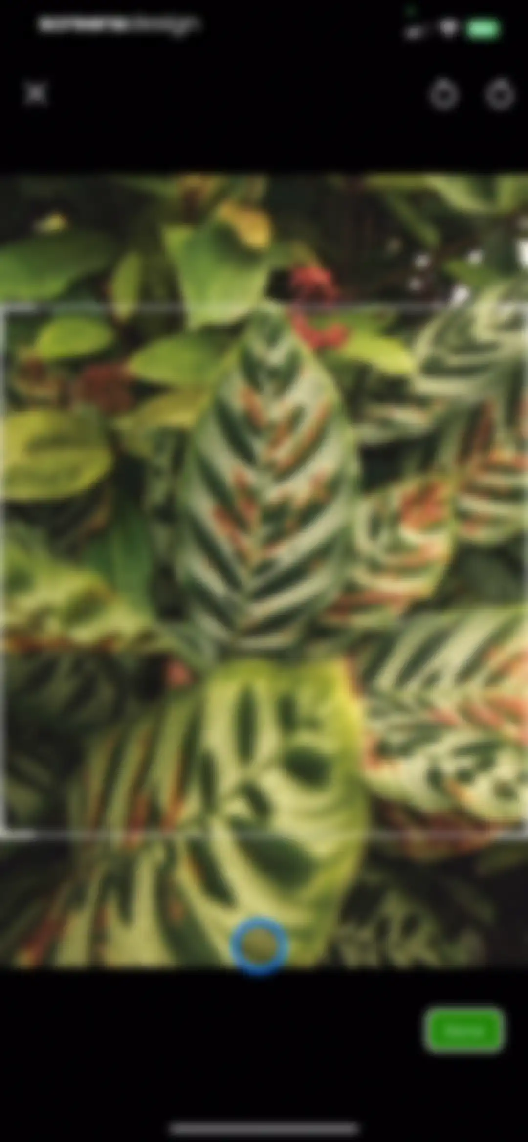 PlantSnap - Plant Scanner screen 44