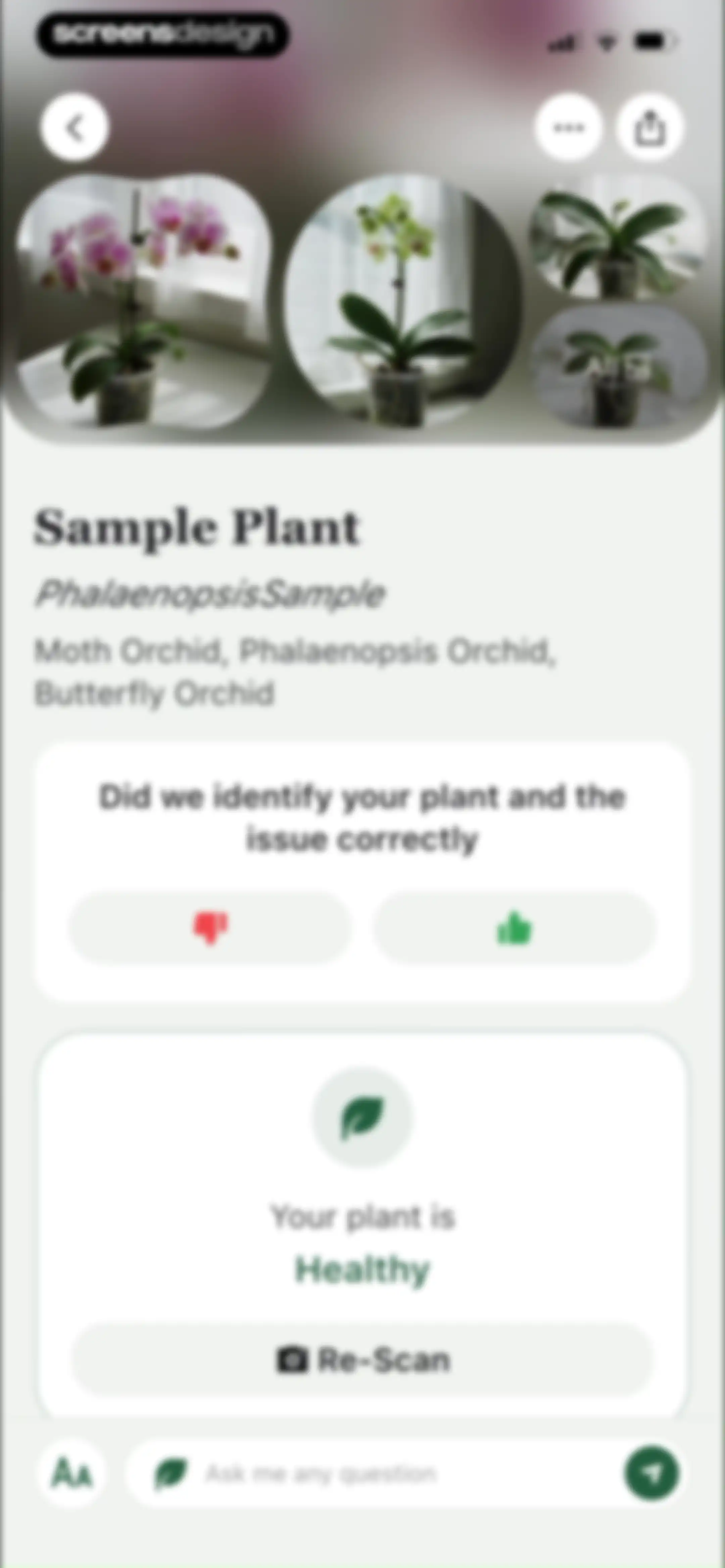 PlantAID:identifier&care guide screen 64