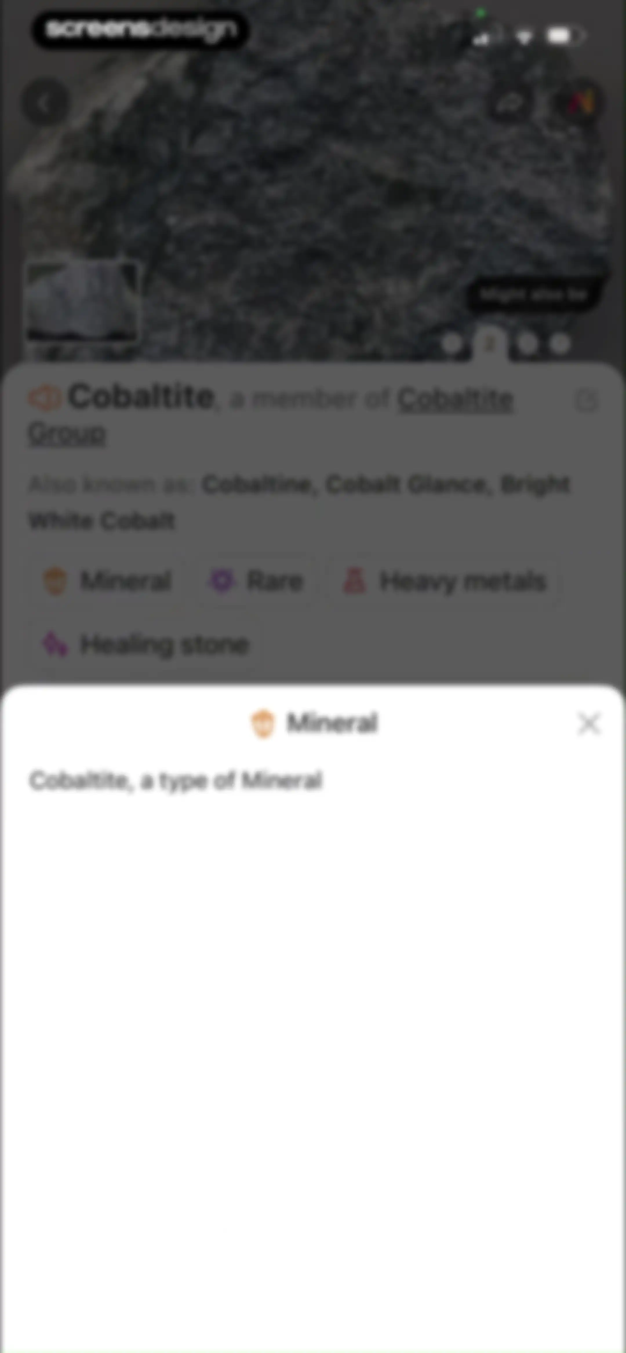 Rock Identifier: Stone ID screen 31