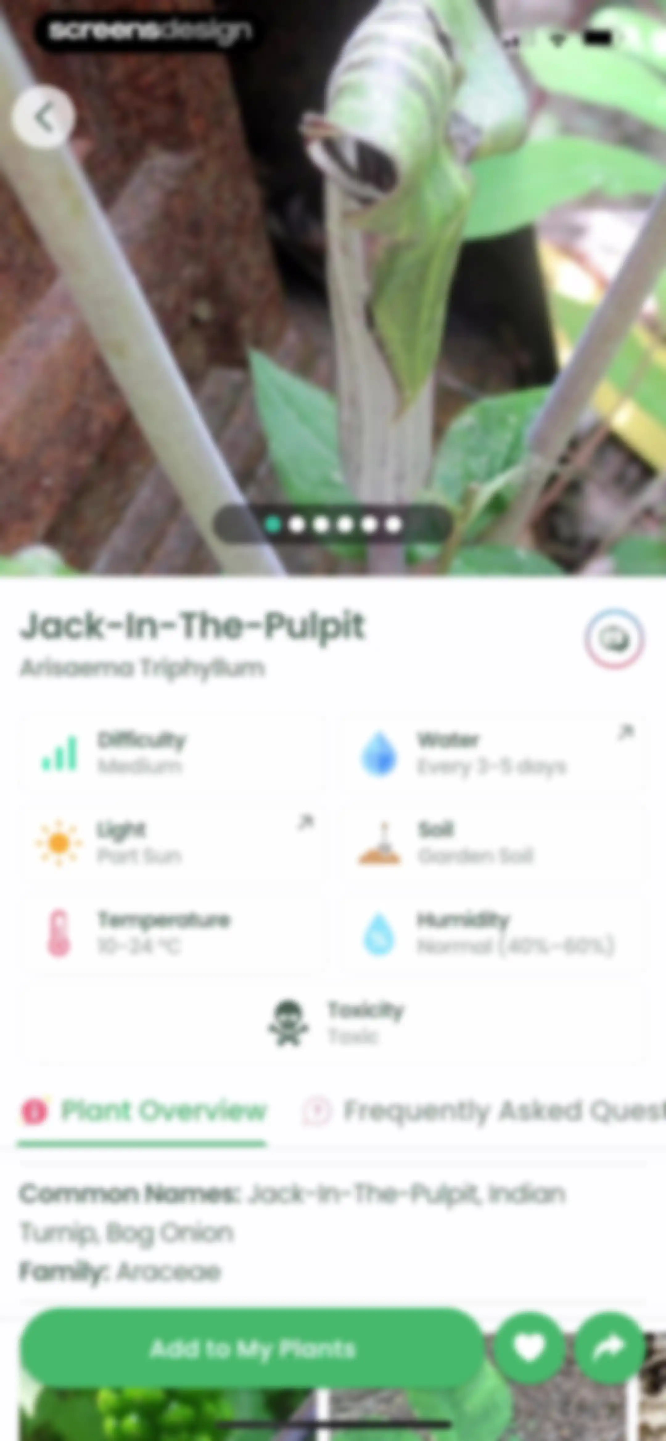 Plant Identifier: Plantiary screen 49