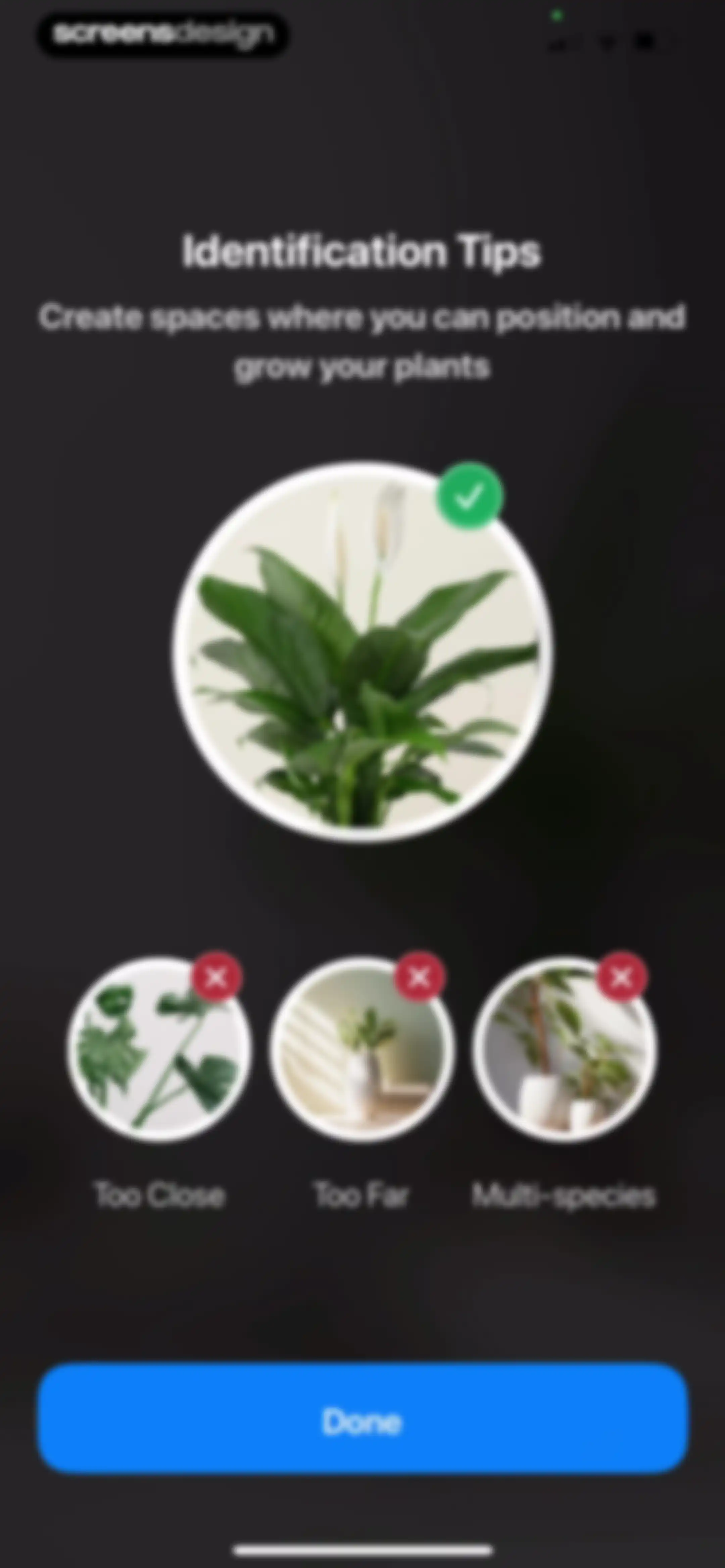 Plant App: Plant Identifier screen 160
