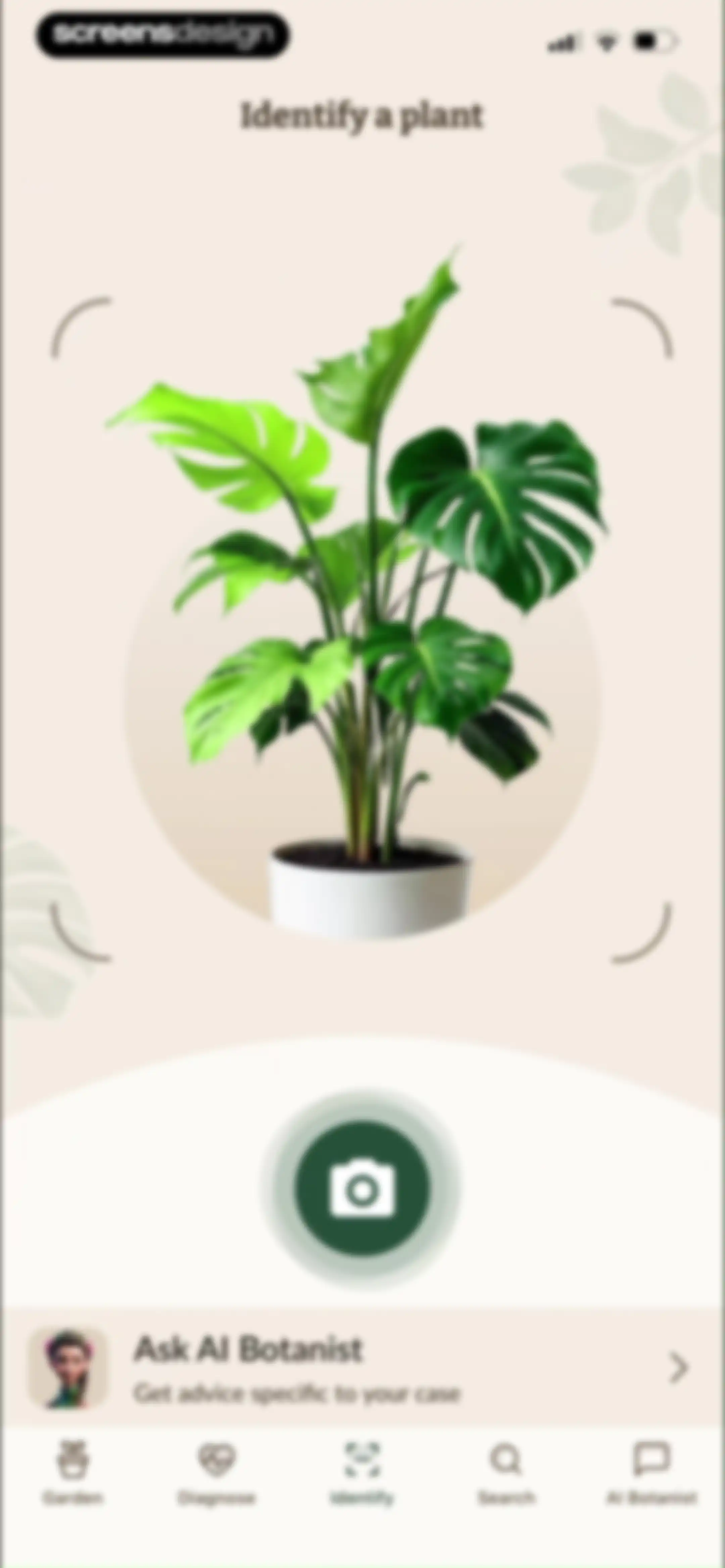 Plant Identification－Plantaria screen 77