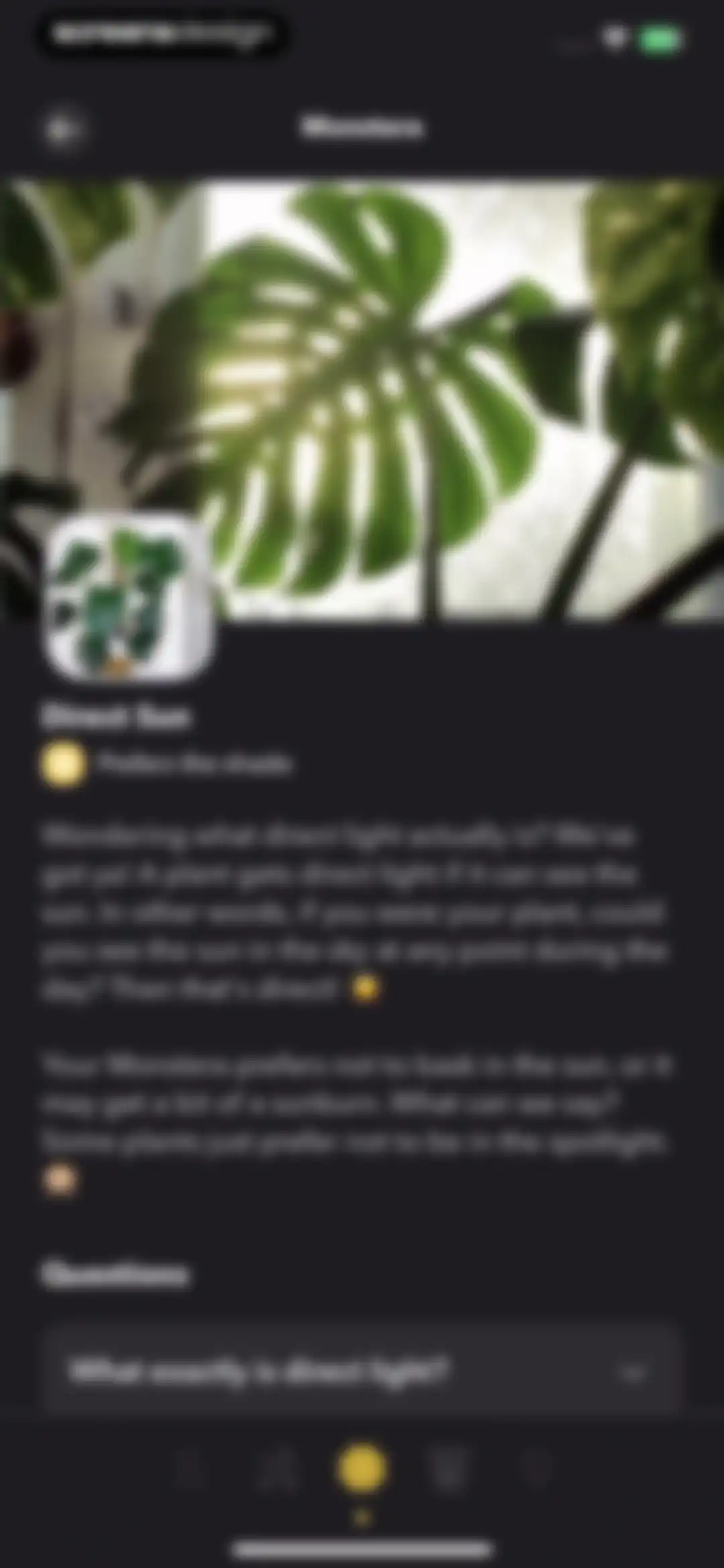 Greg: Plant Identifier & Care screen 33