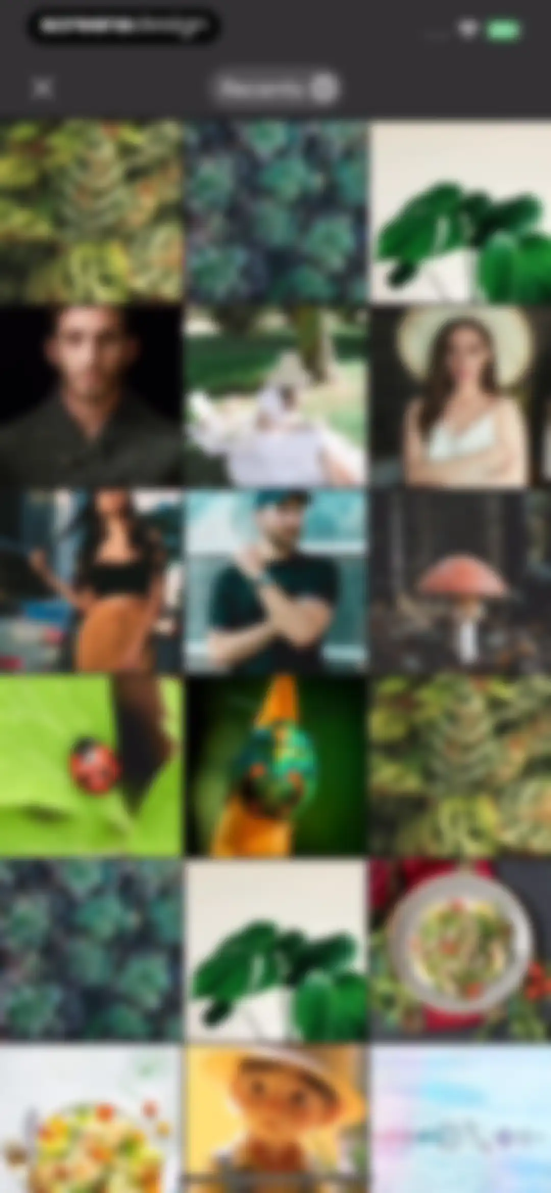 Plant Identification ++ screen 7