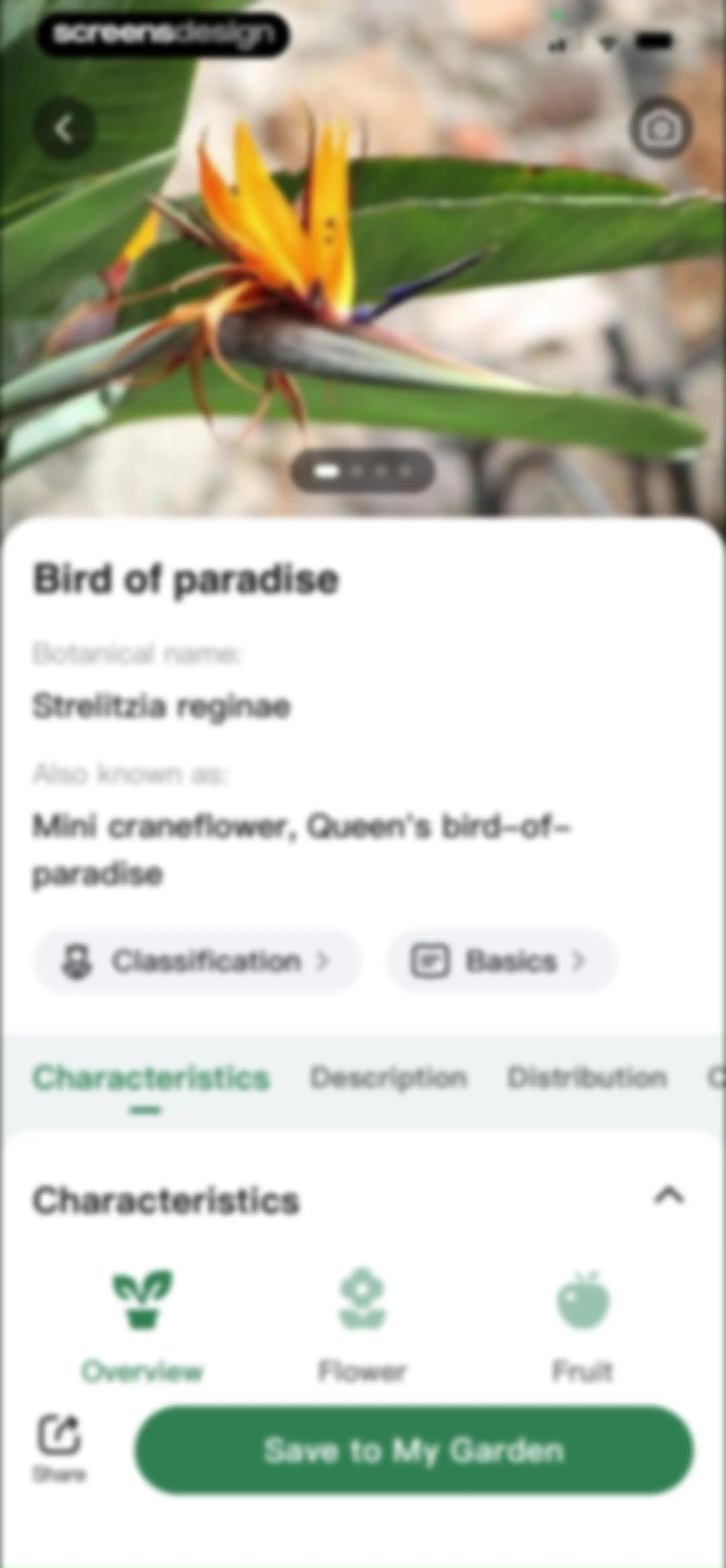 PlantLush: Plant ID & Care Pro screen 83
