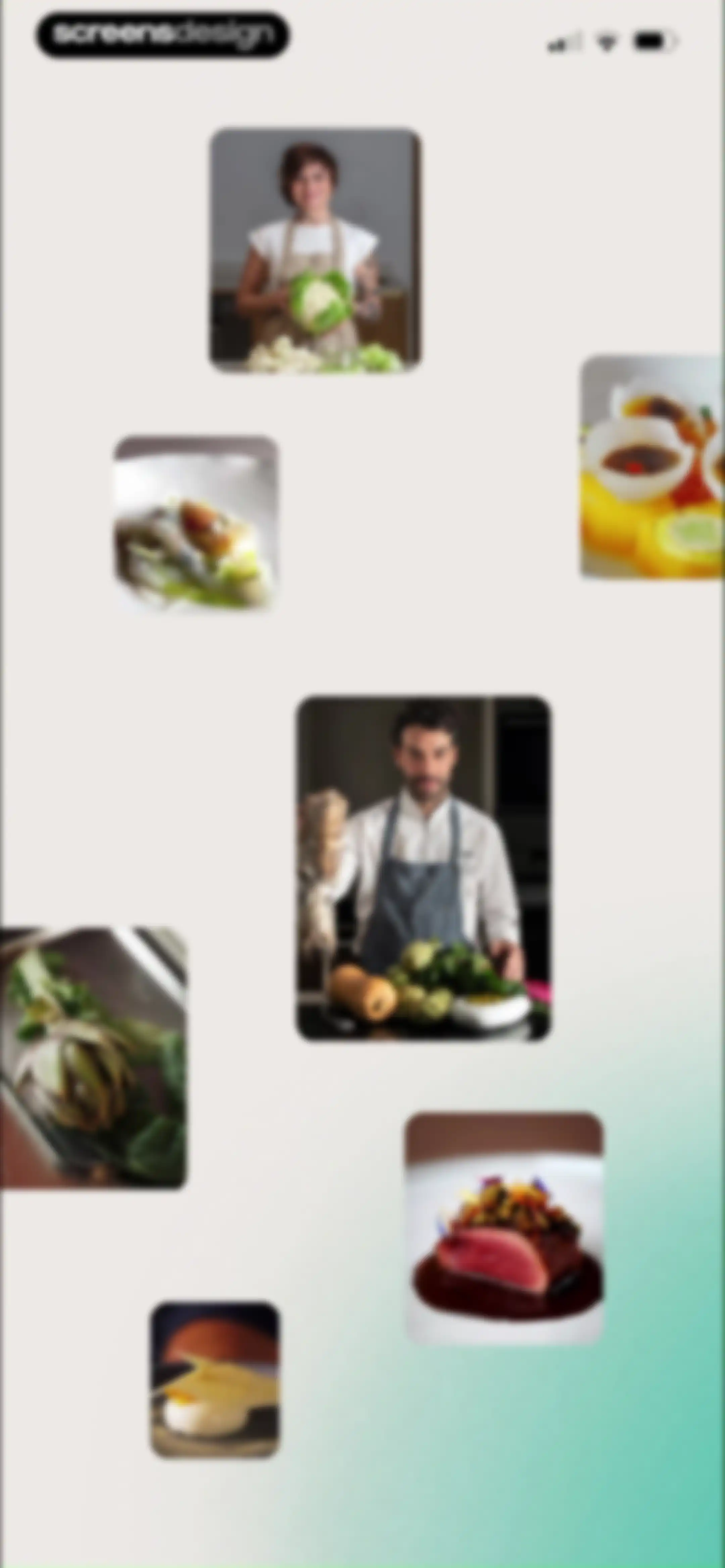 Gronda: Recipes for Chefs screen 17