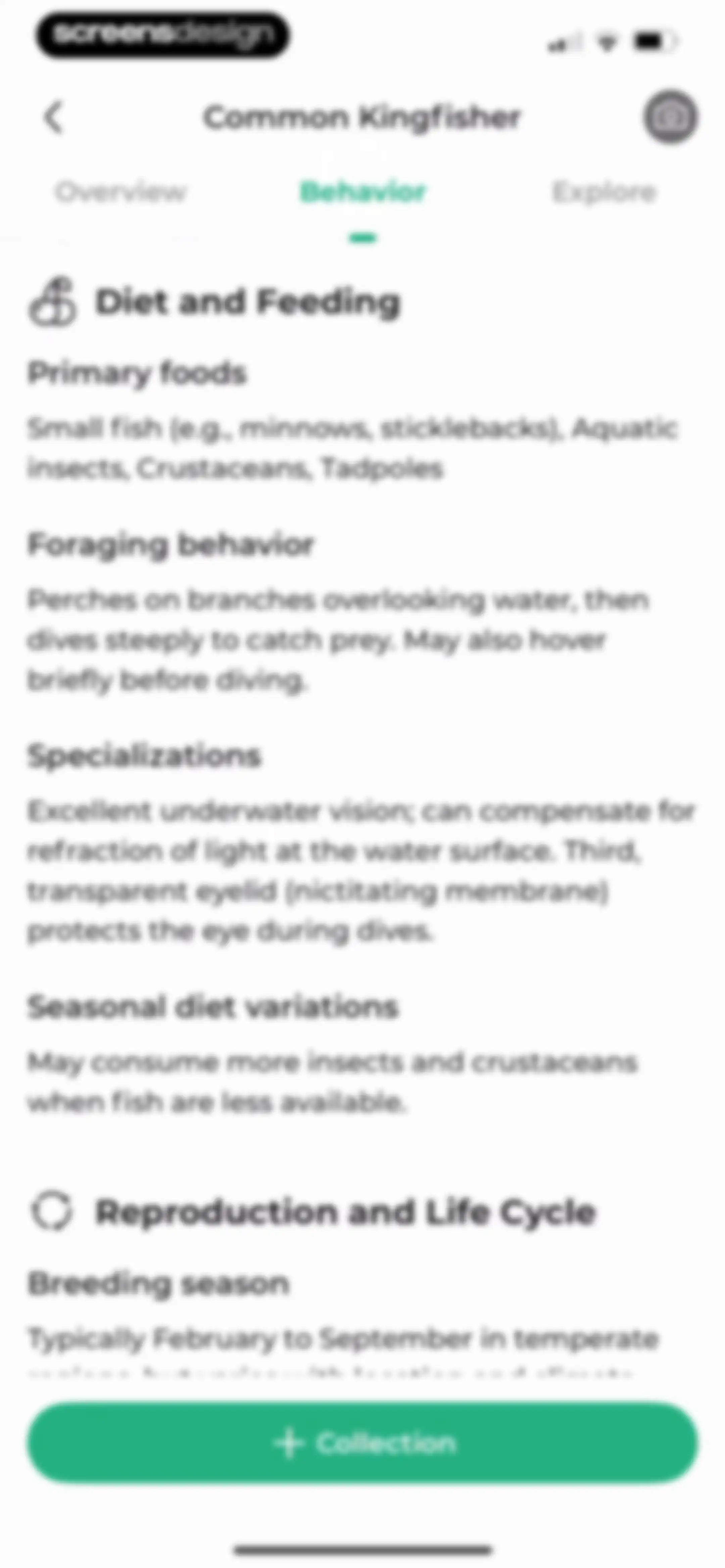 Bird Identifier: BirdScope screen 34