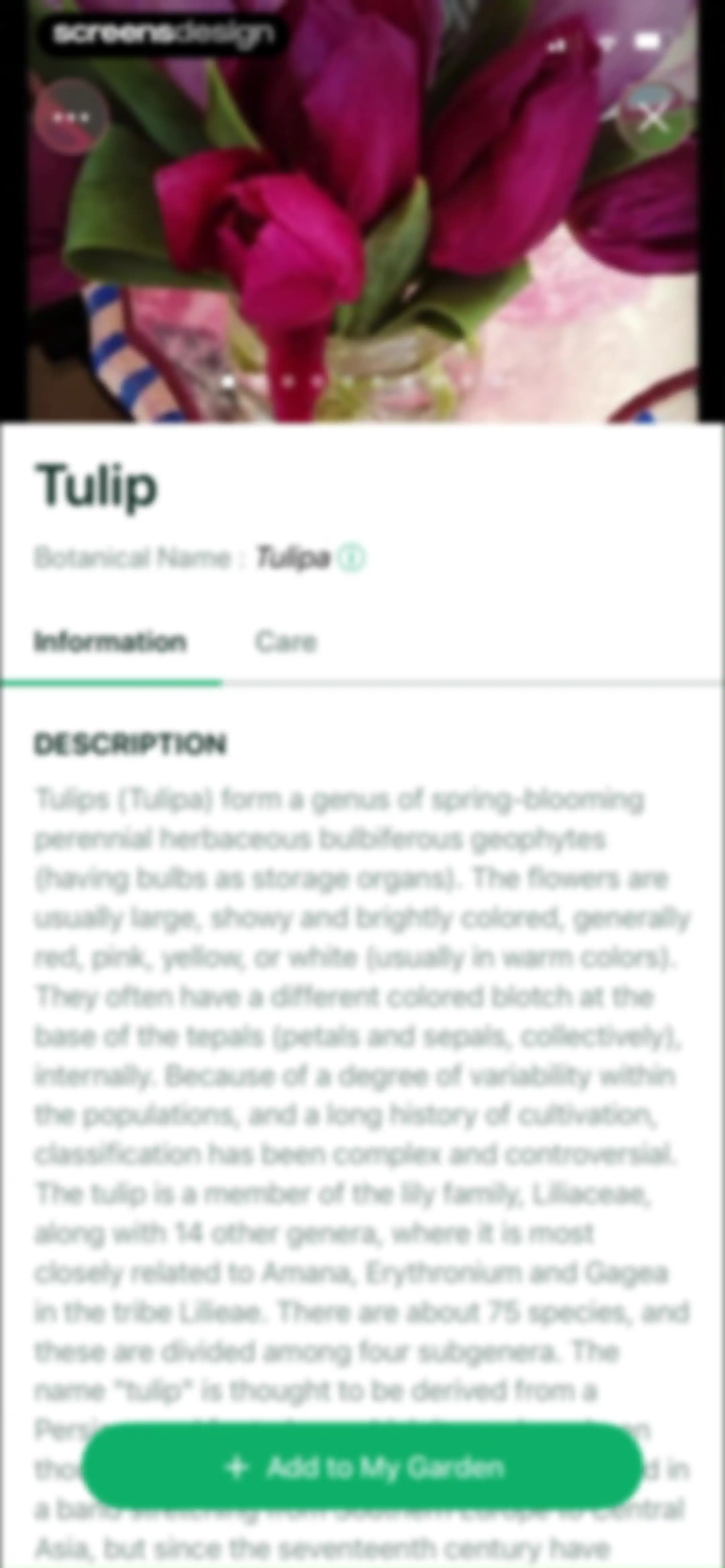 Planto: Plant Identifier screen 55