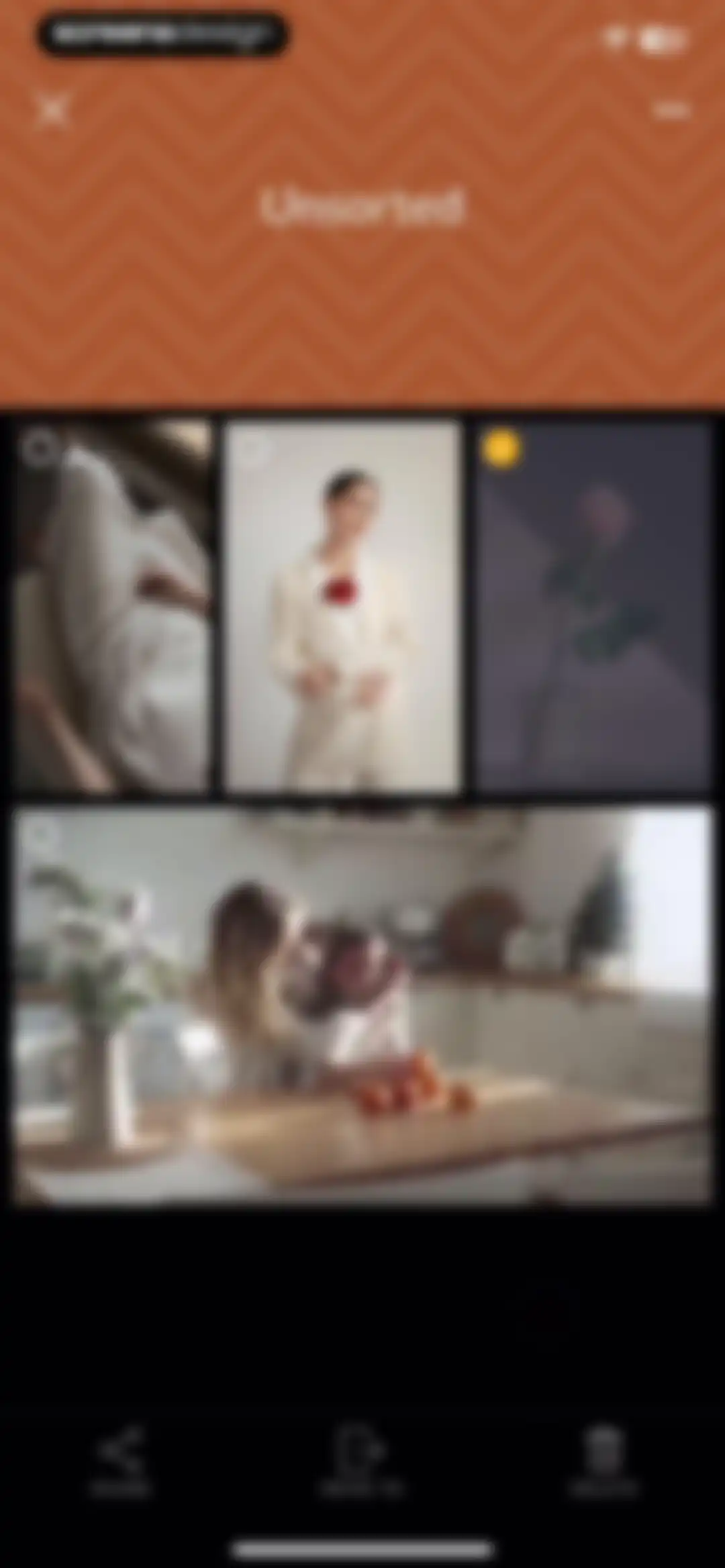 PicMonkey Photo + Video Design screen 94