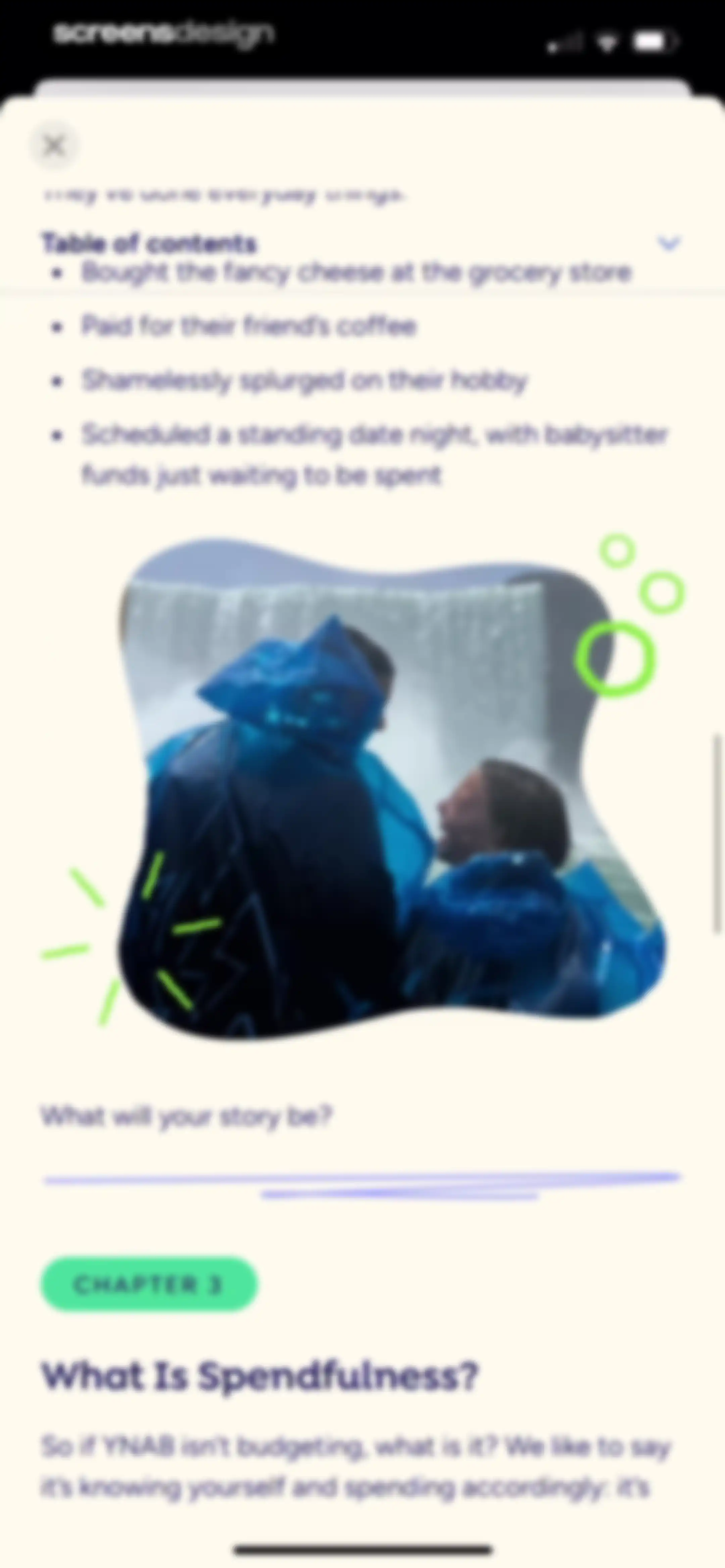 YNAB screen 79