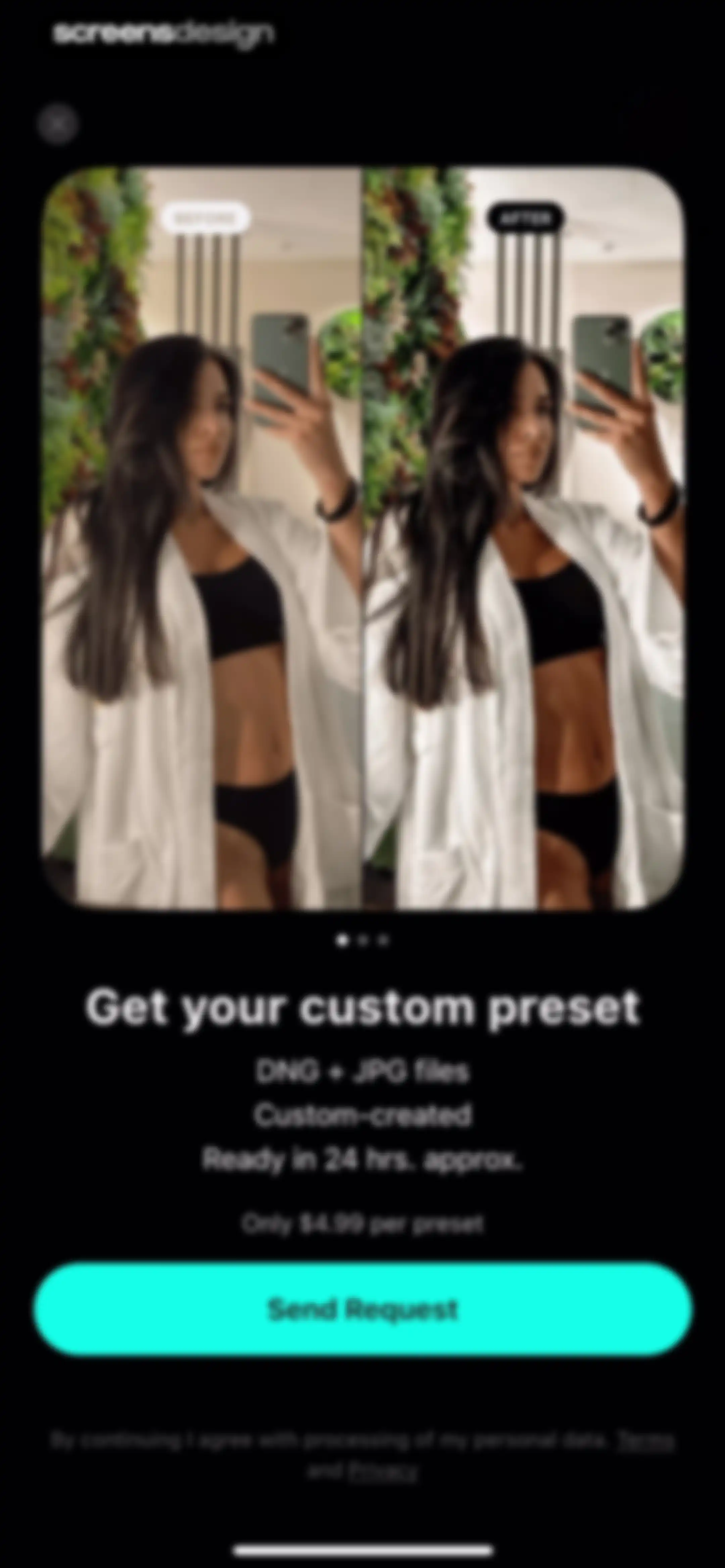 Presets for Lightroom - FLTR screen 80