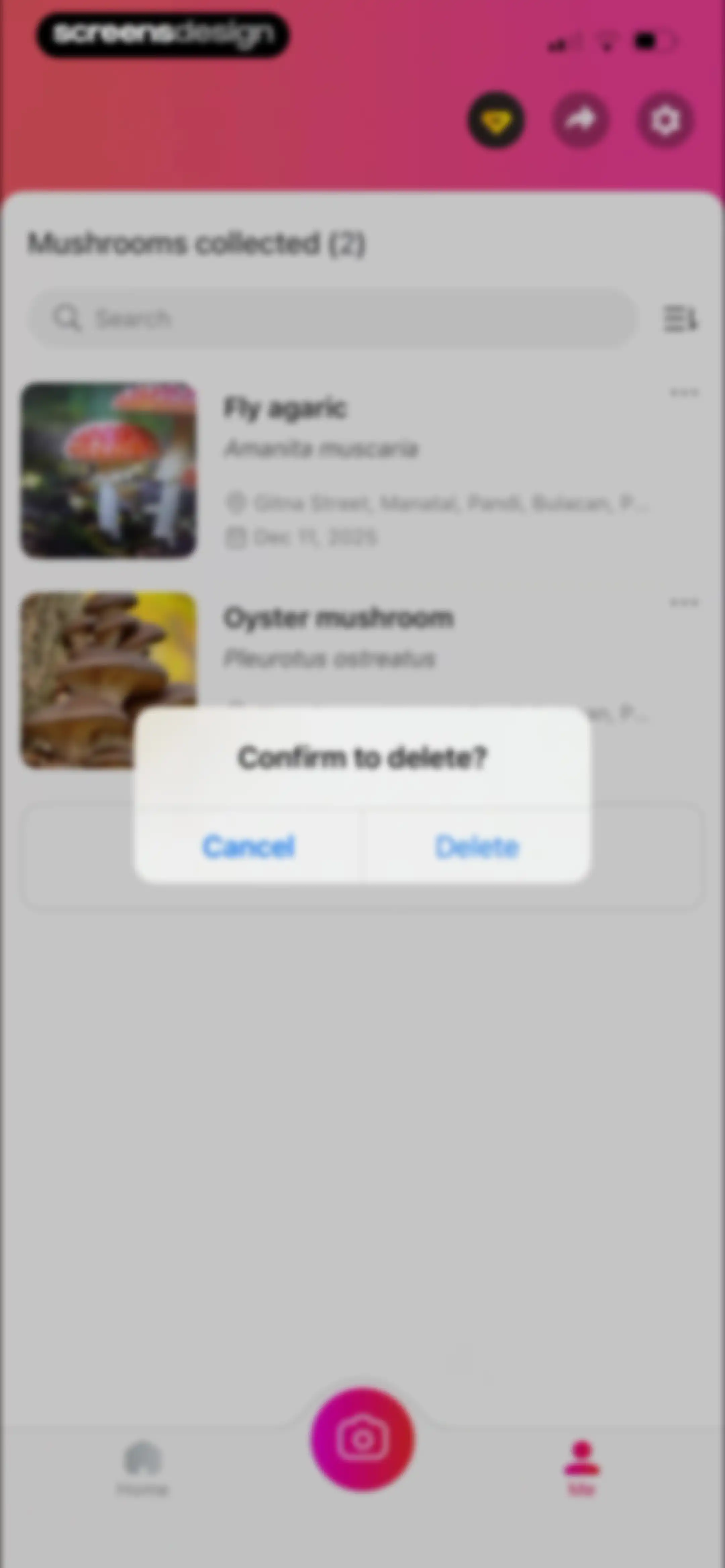 Picture Mushroom: Identifier screen 99
