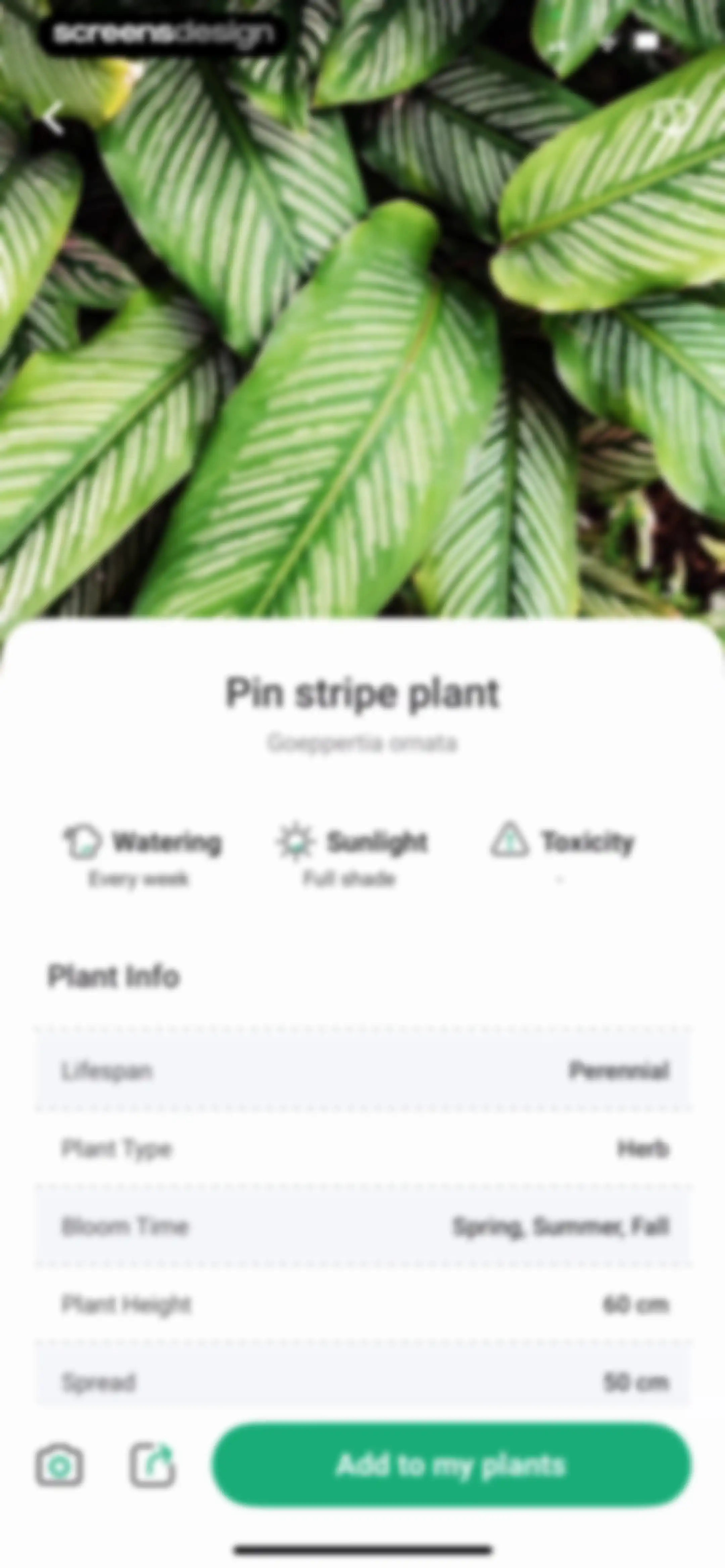 PlantDaily: AI Plant Care screen 64
