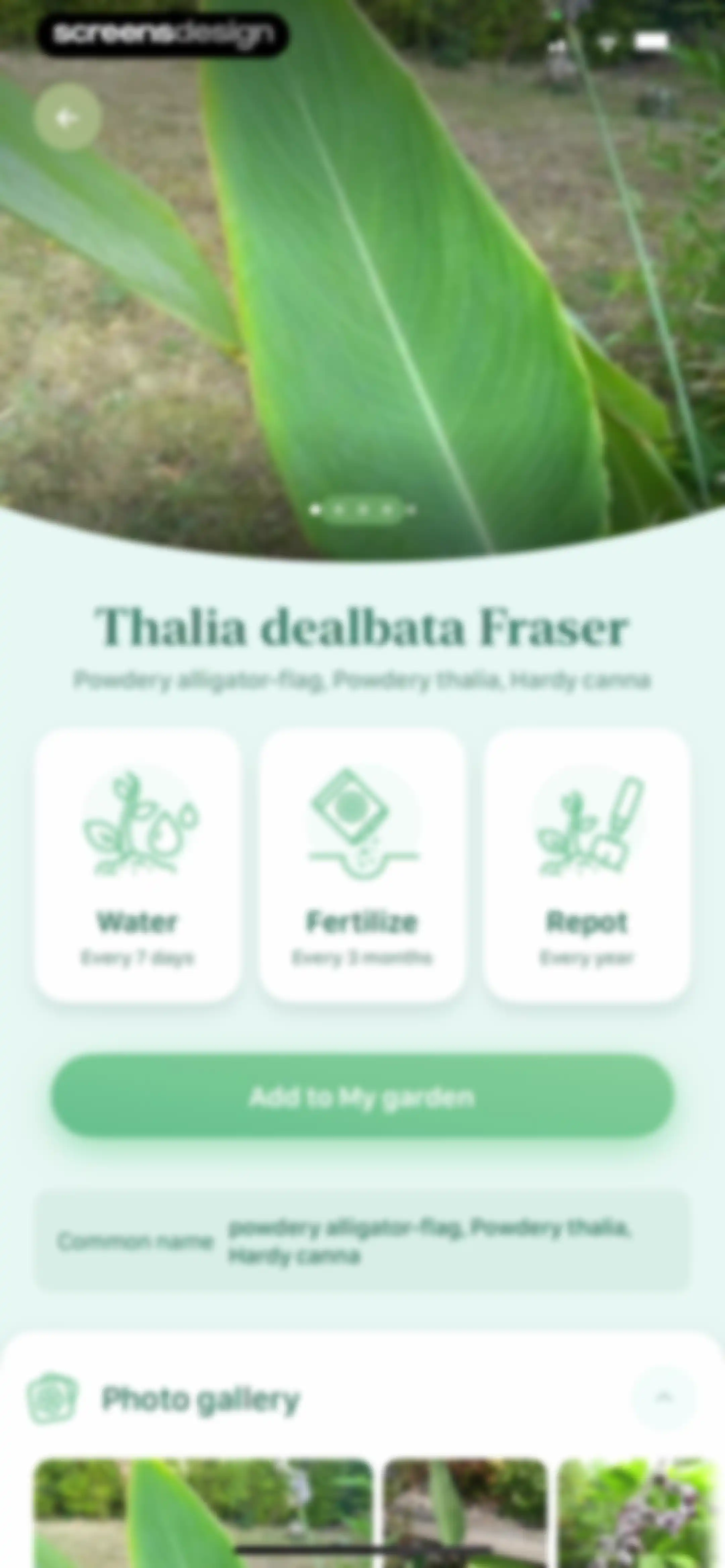 Blossom - Plant Care Guide screen 102