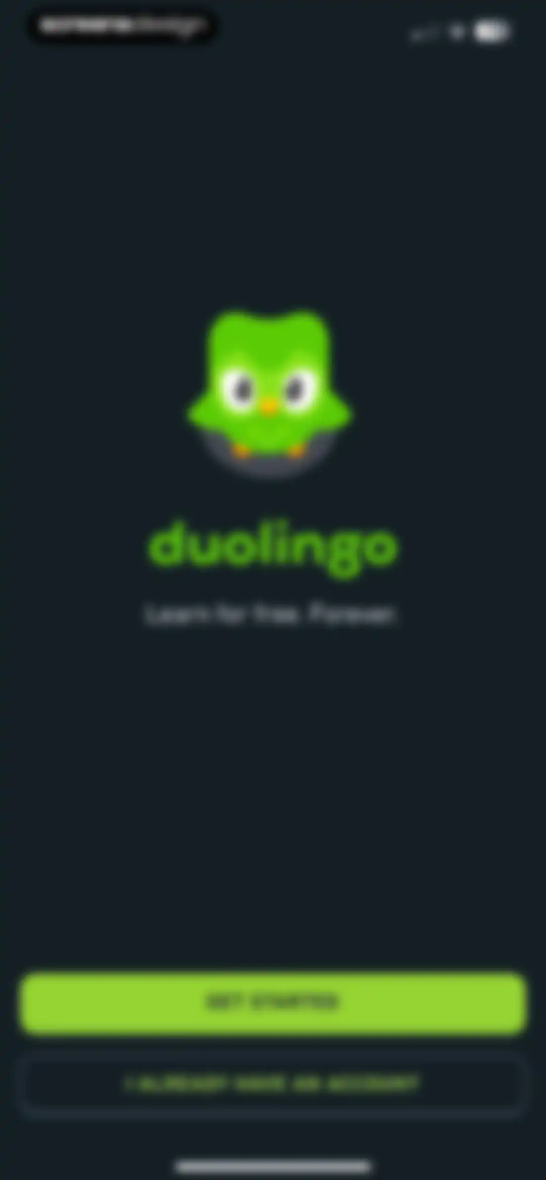 Duolingo: Language Lessons screen 2