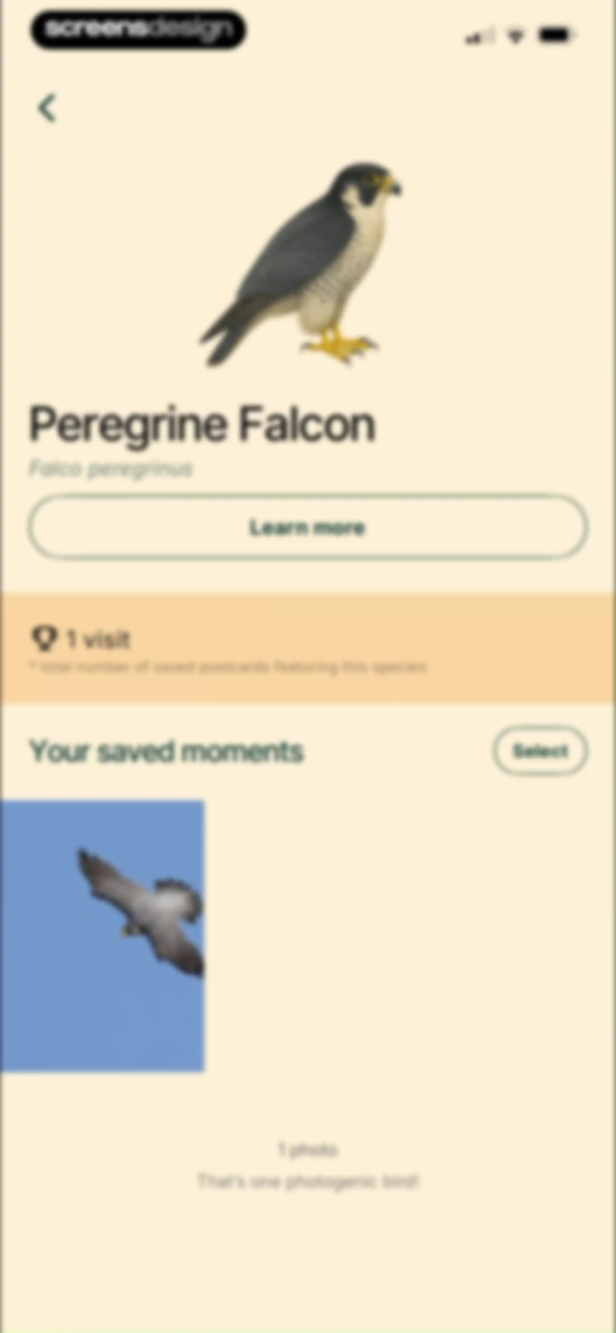 Birdbuddy: ID & Collect Birds screen 72