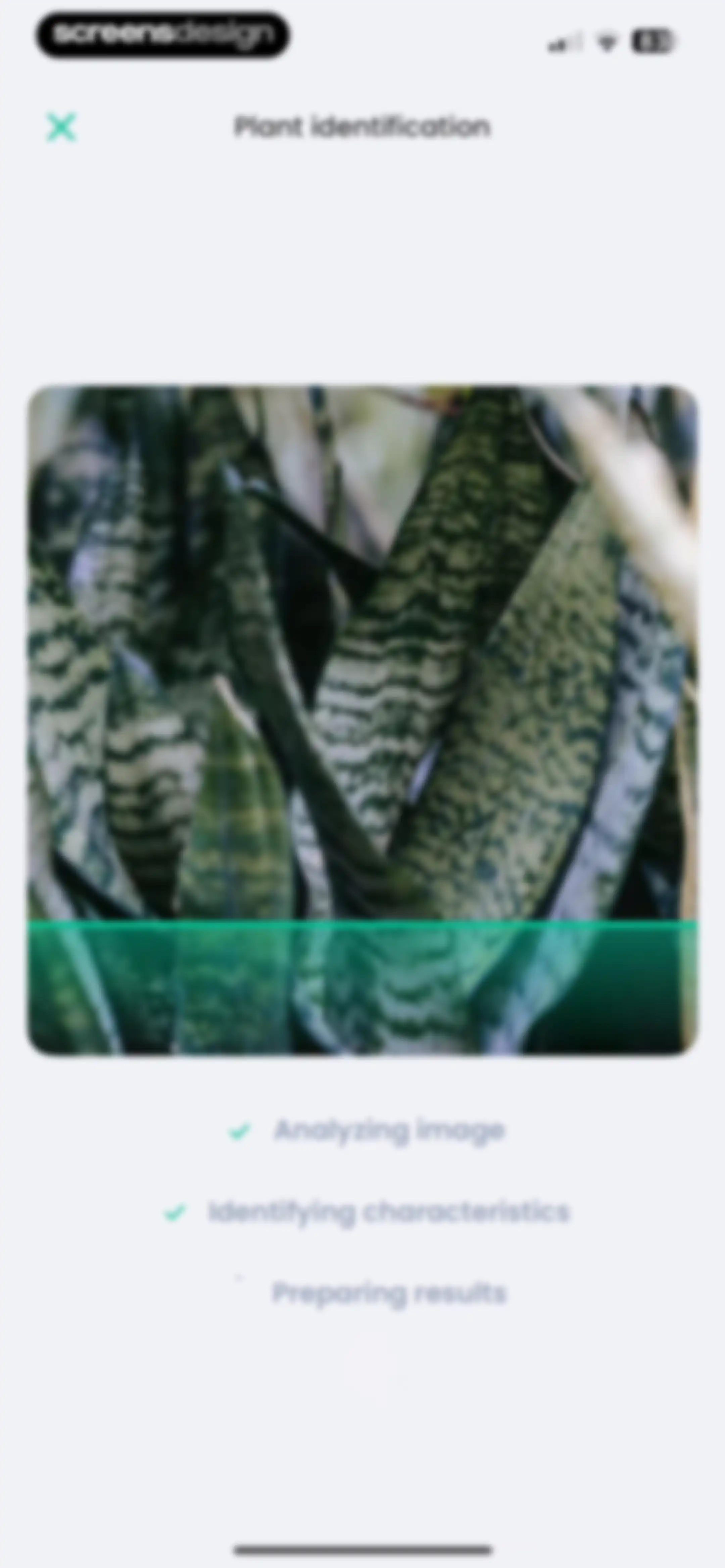 PlantIn: Plant Identifier・Care screen 17