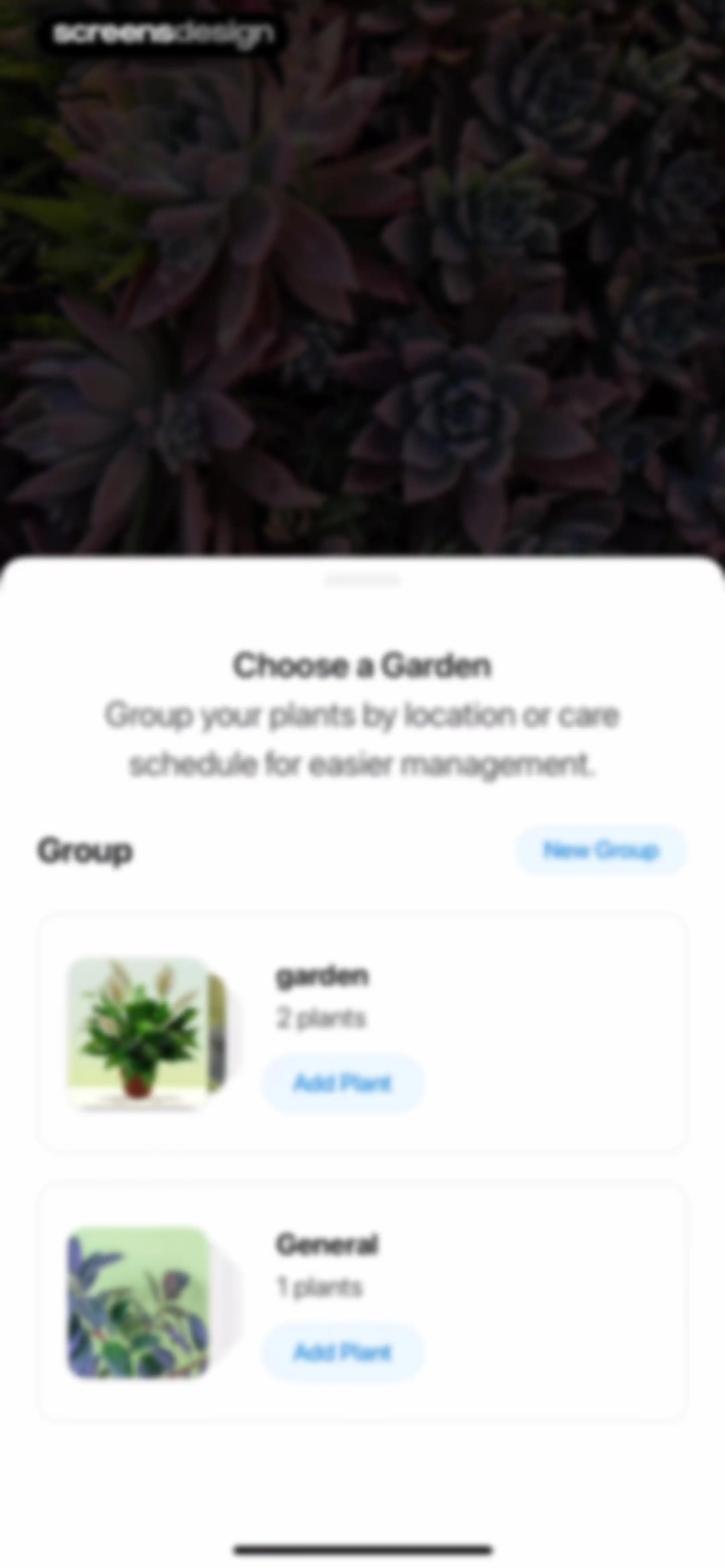 Plant App: Plant Identifier screen 126