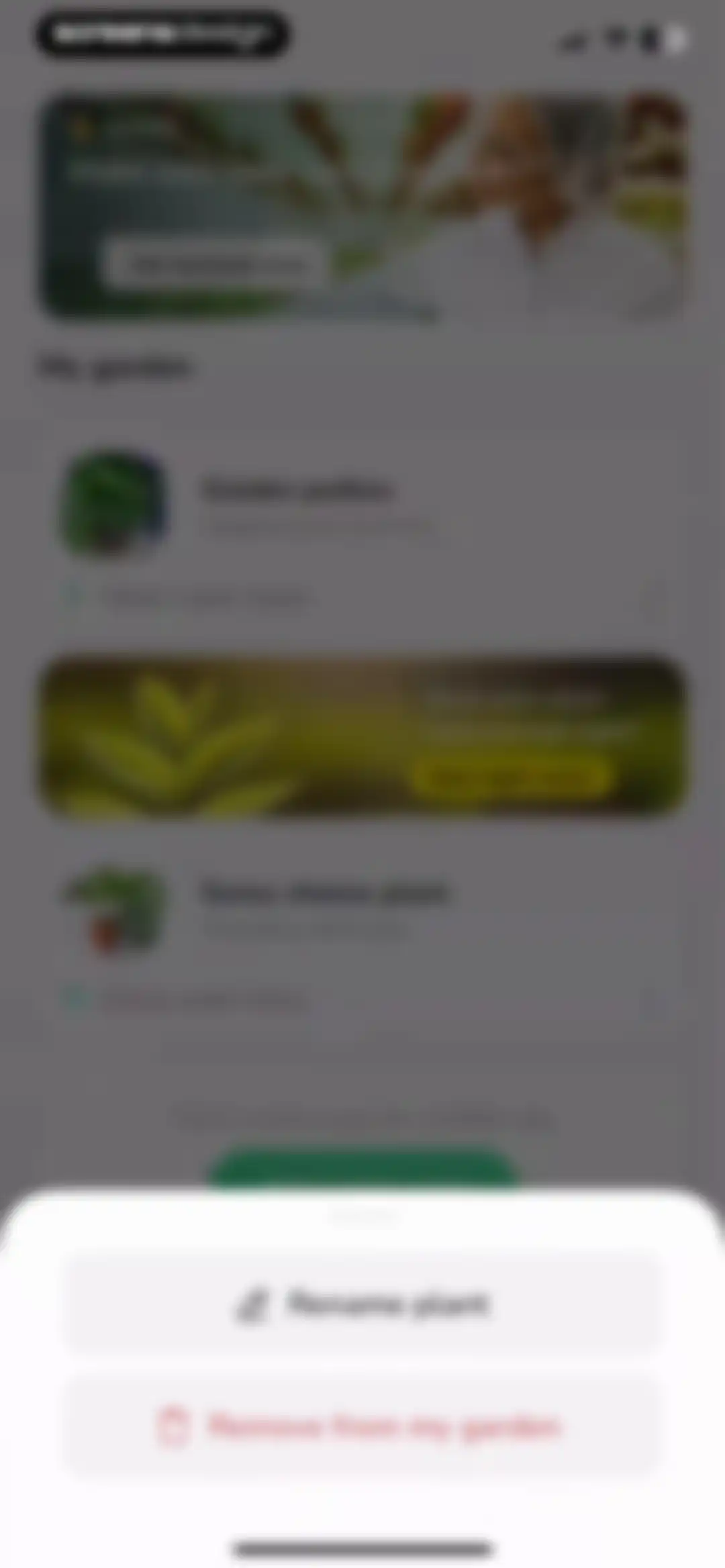 Plant Identifier - PlantMe screen 31