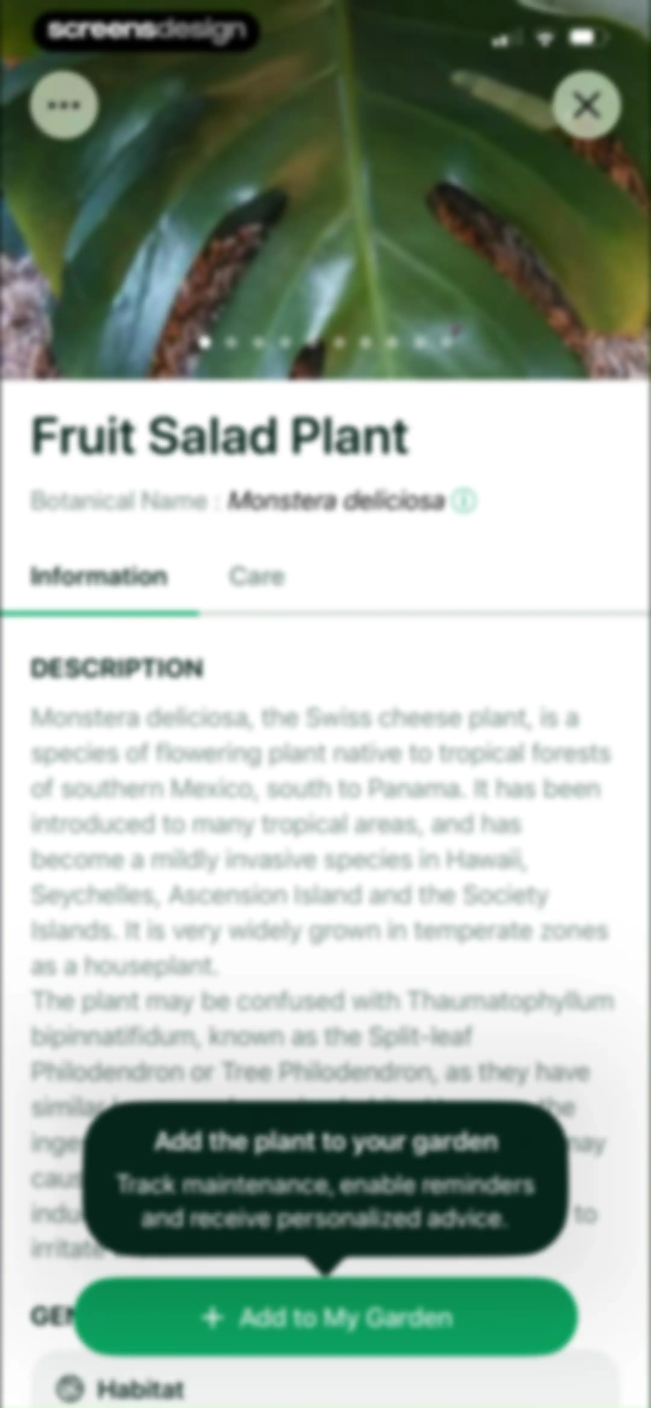 Planto: Plant Identifier screen 13