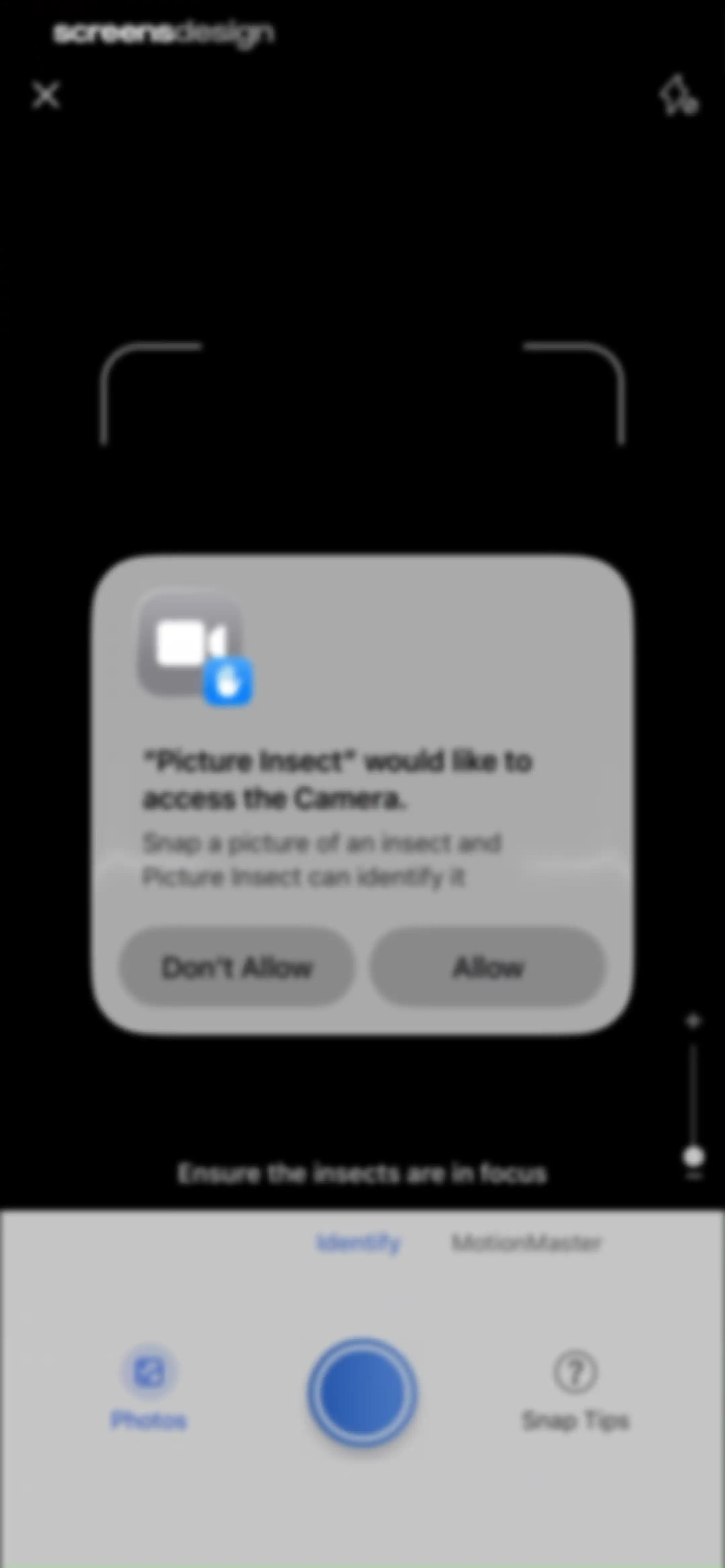 Picture Insect: Bug Identifier screen 47