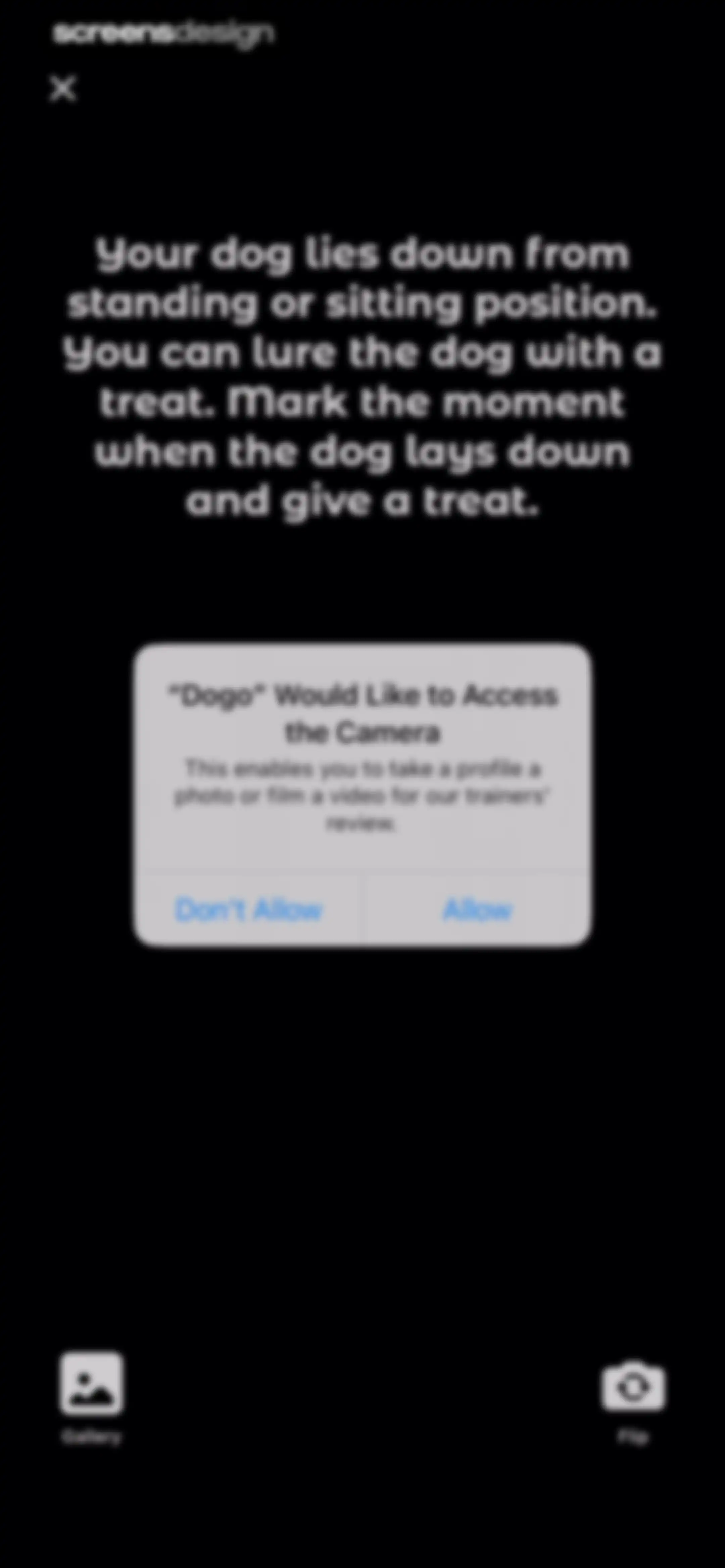 Dogo - Dog Training & Clicker screen 111