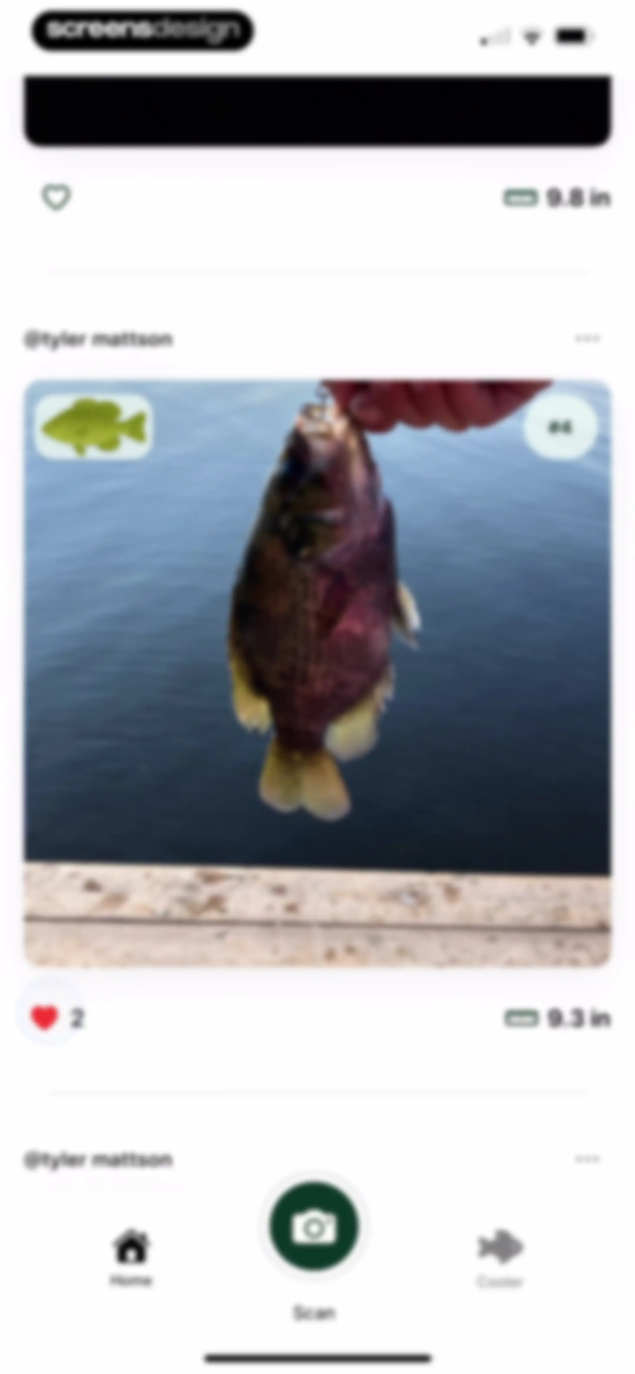 Catchr: Fish Identifier screen 51