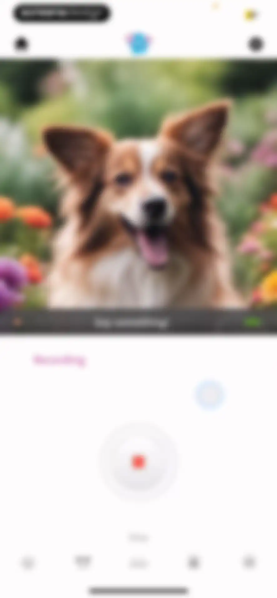 My Talking Pet screen 13
