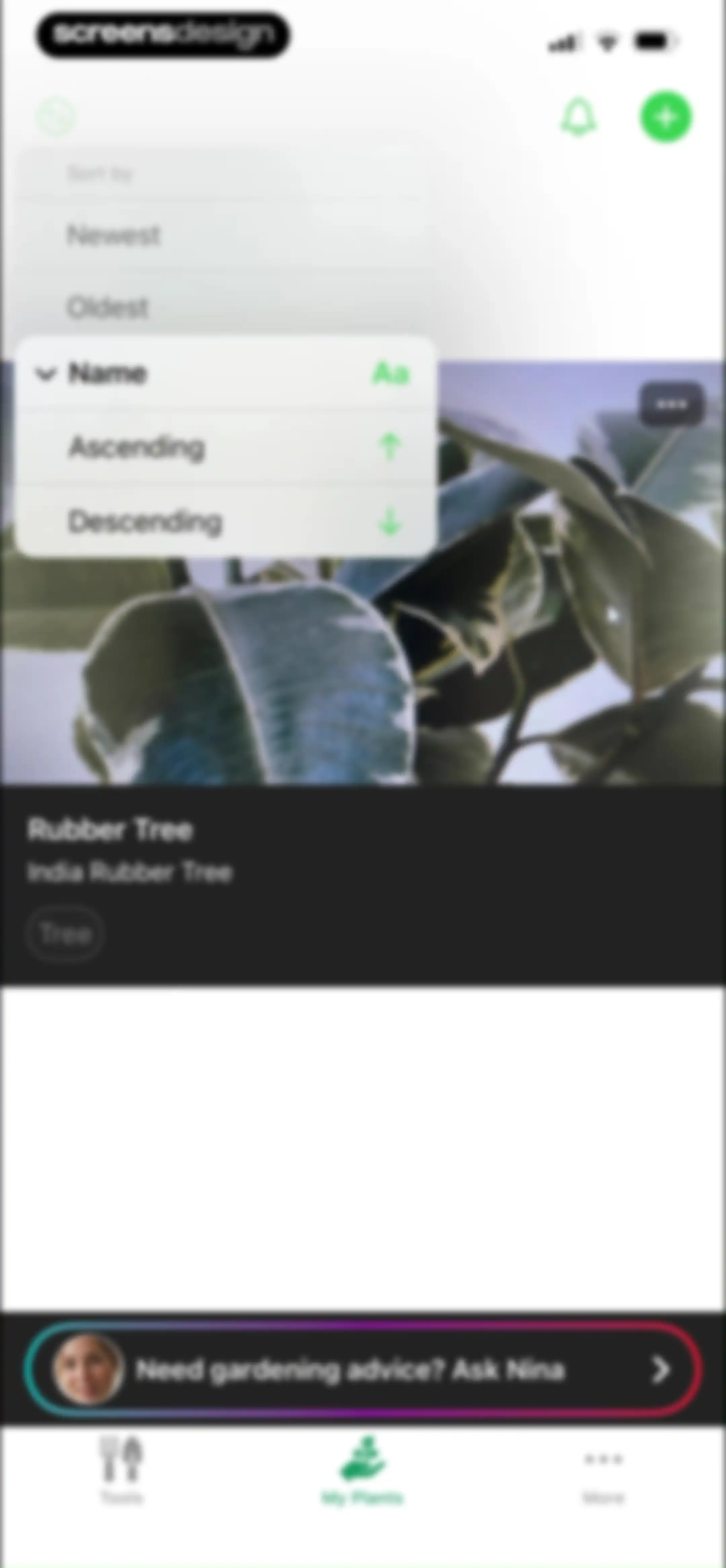 Free Plant Identifier screen 46