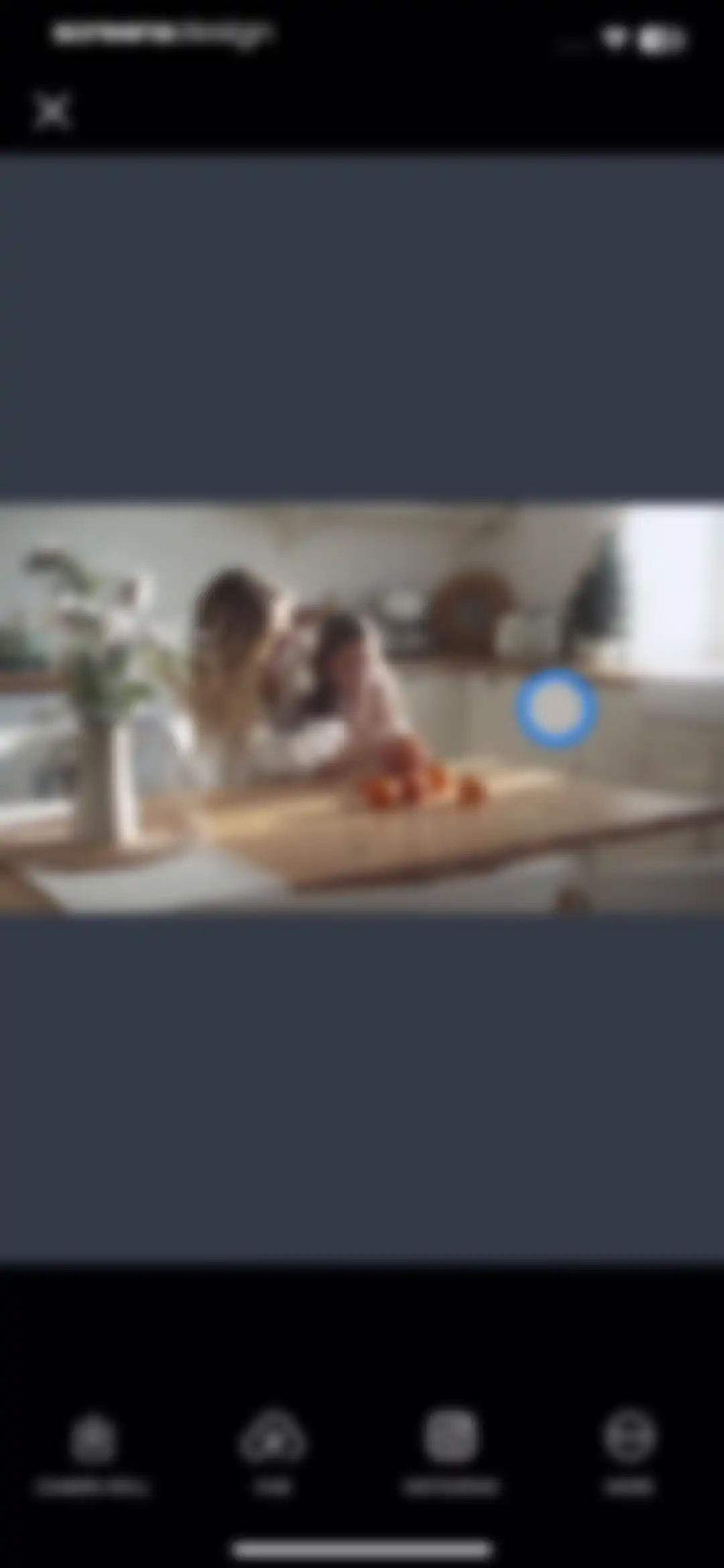 PicMonkey Photo + Video Design screen 85