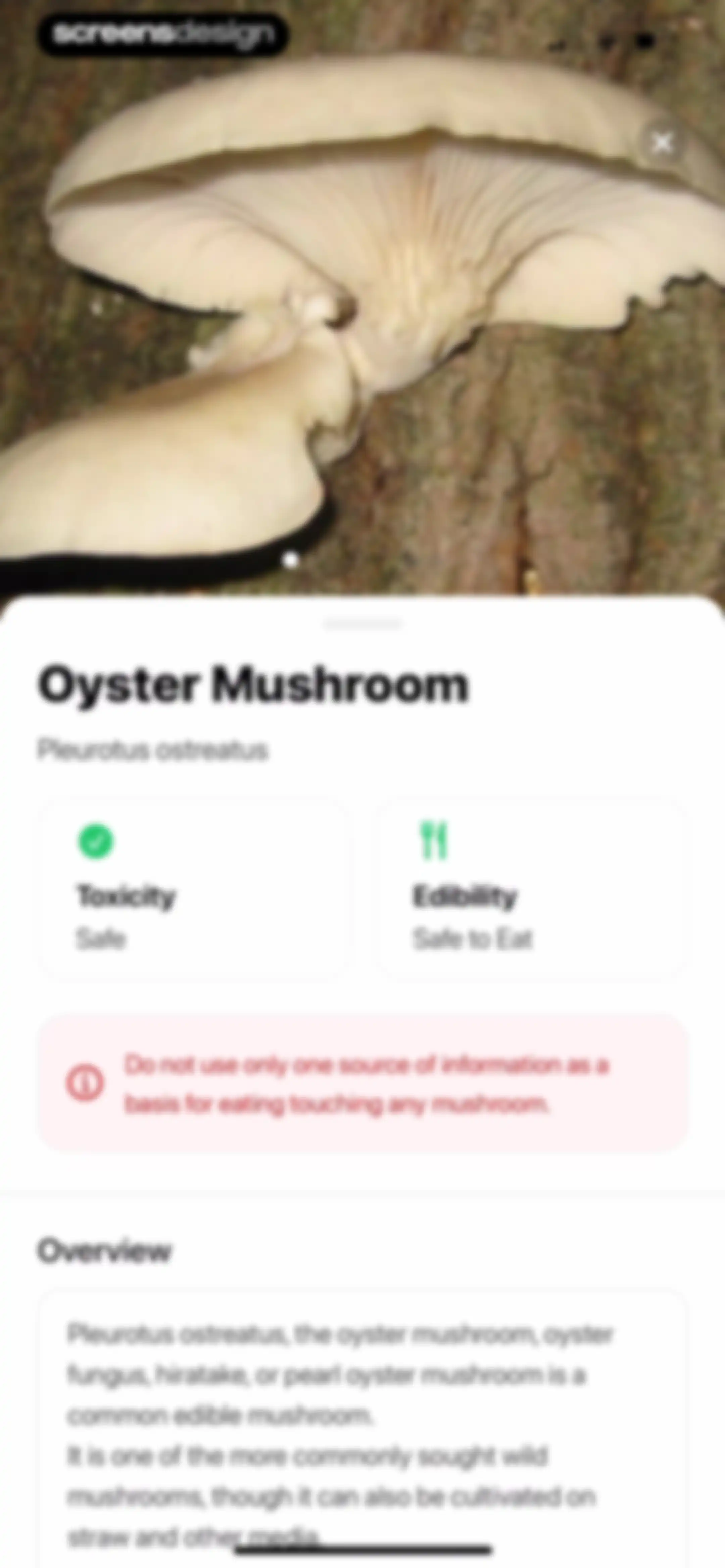 Plant App: Plant Identifier screen 75