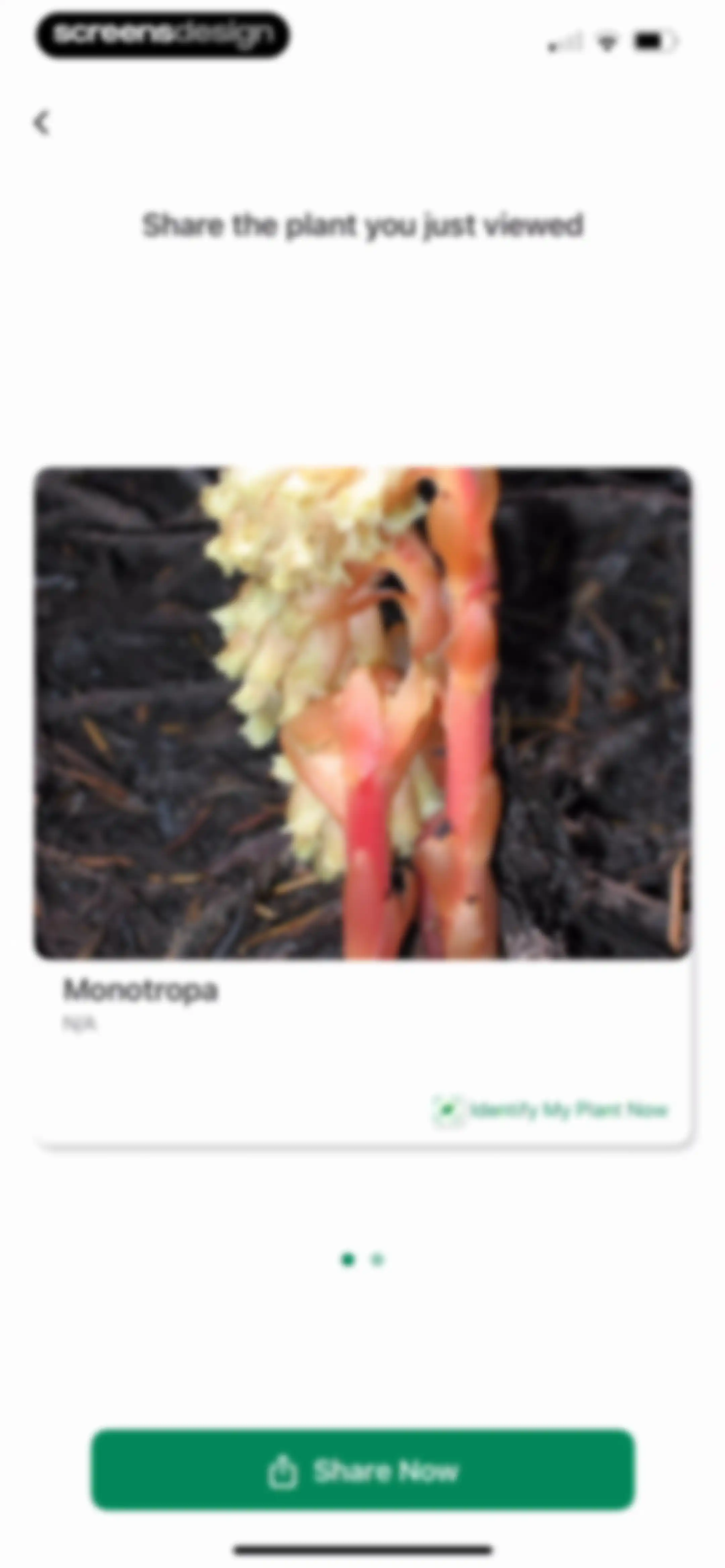 Identify My Plant Now screen 81