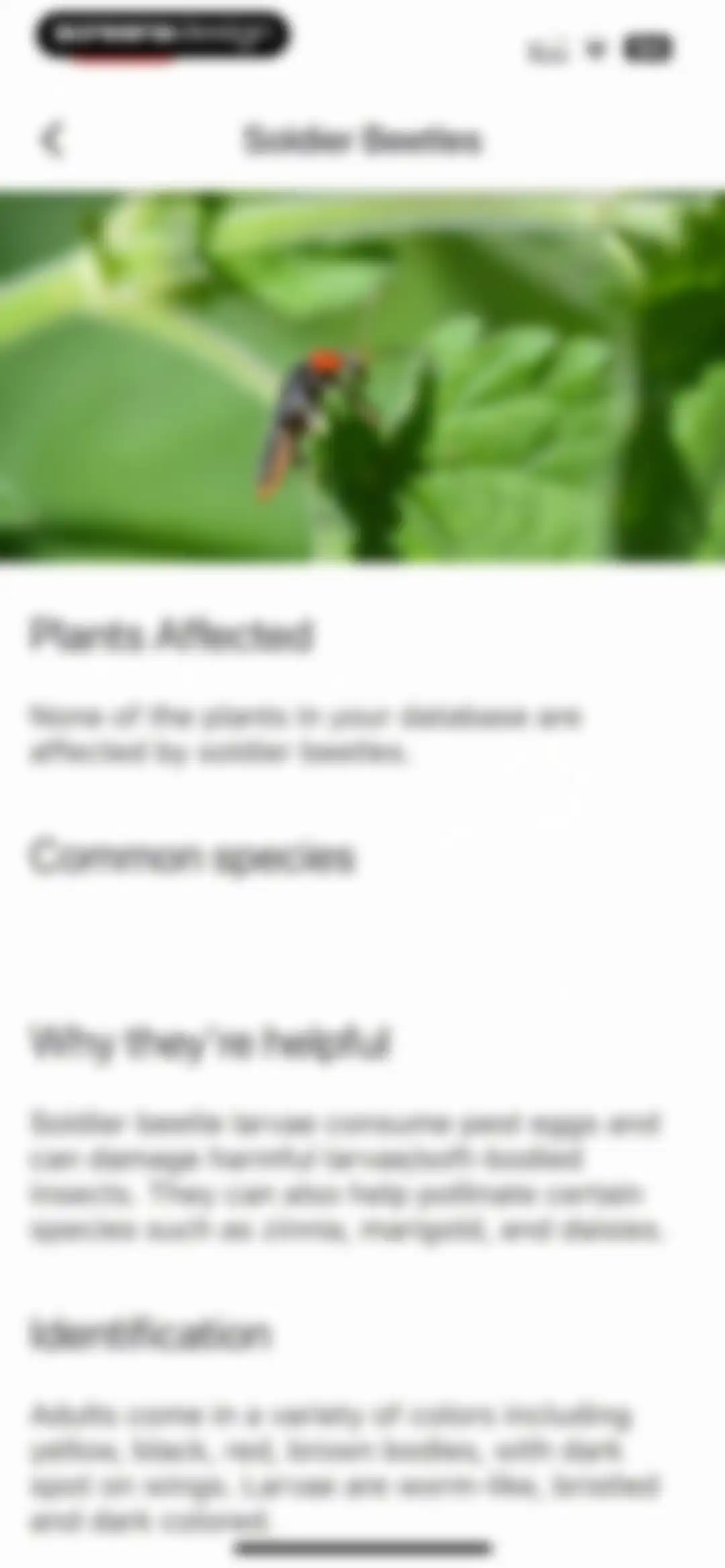 Planter: Garden Planner screen 85