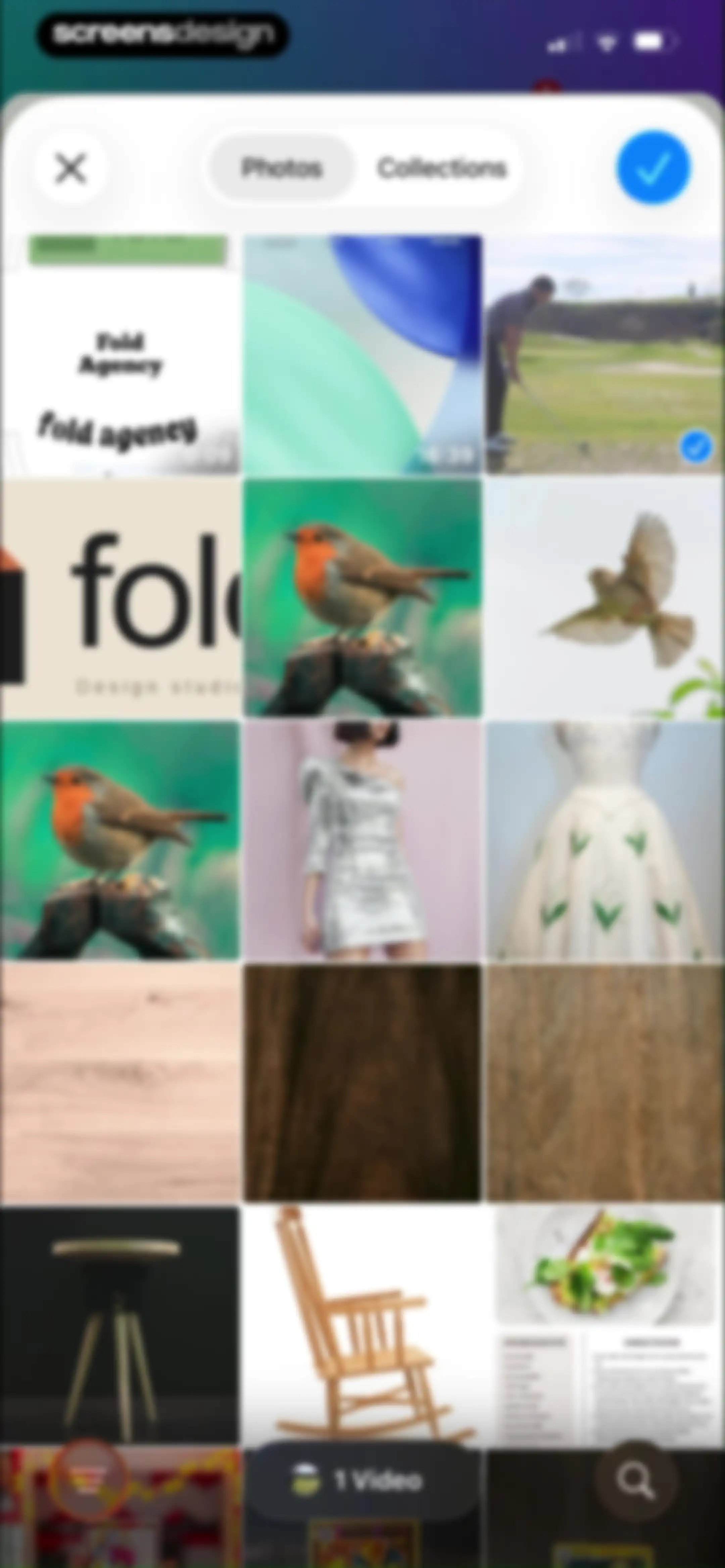 Canva: AI Video & Photo Editor screen 99