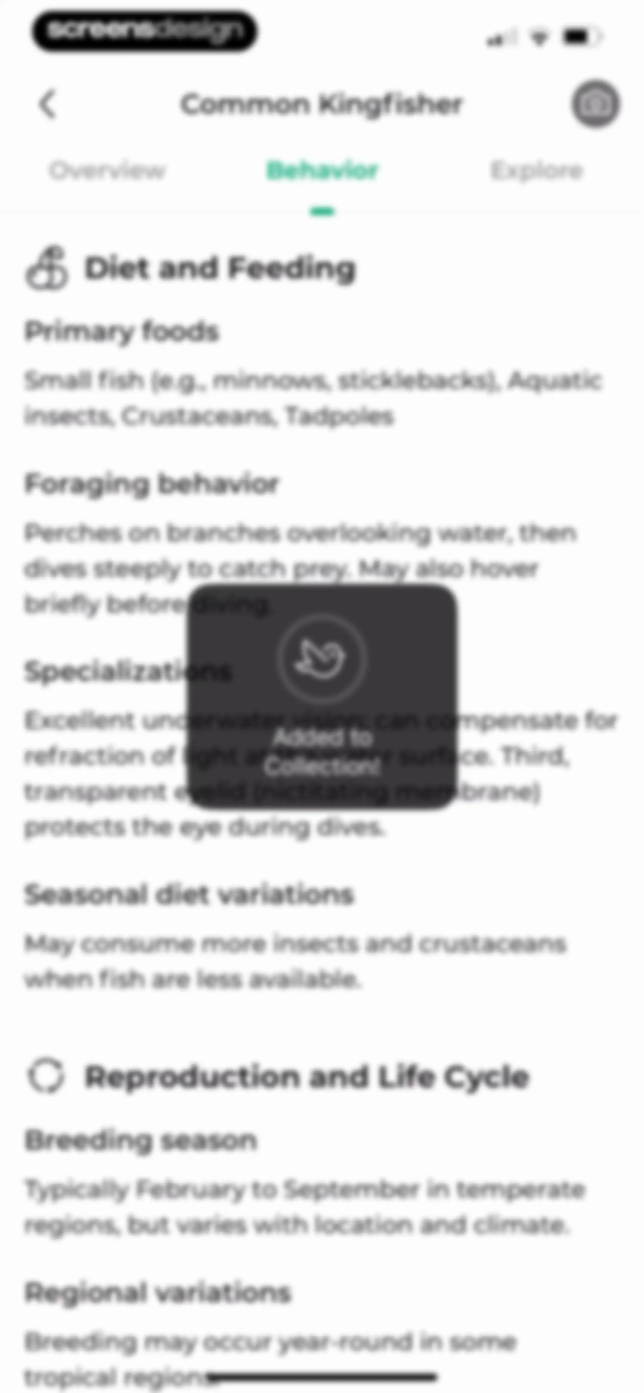 Bird Identifier: BirdScope screen 35