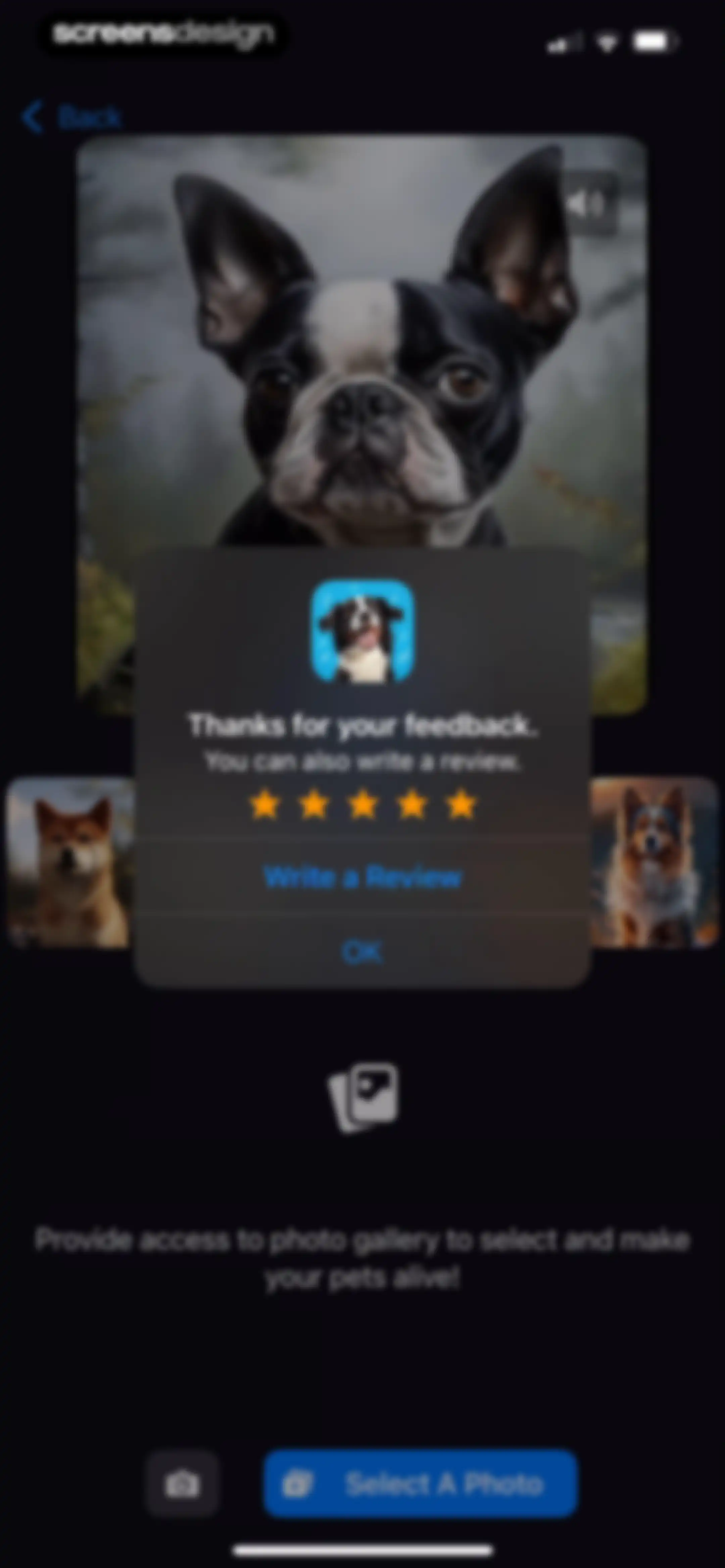 Talking Pet AI: Cat & Dog Talk screen 7