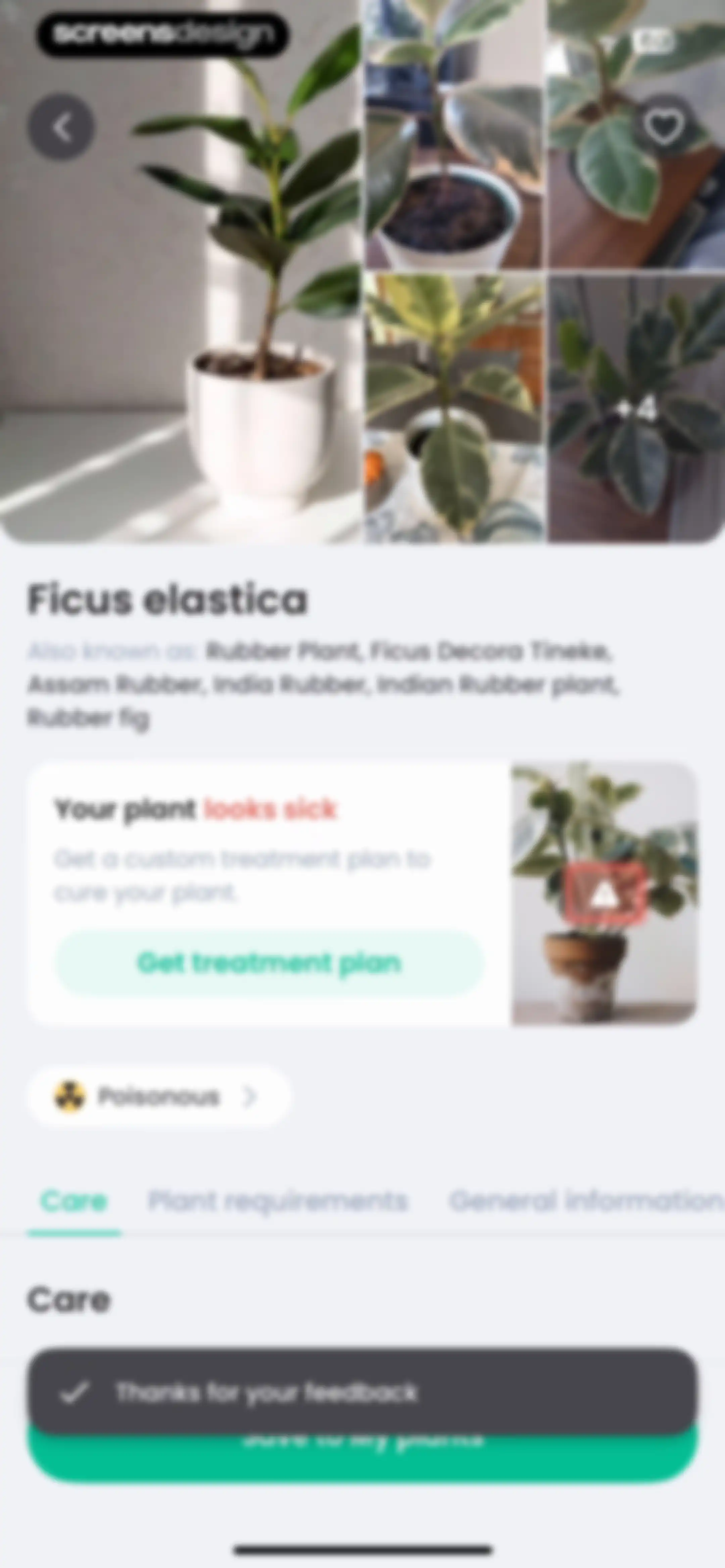 PlantIn: Plant Identifier・Care screen 147