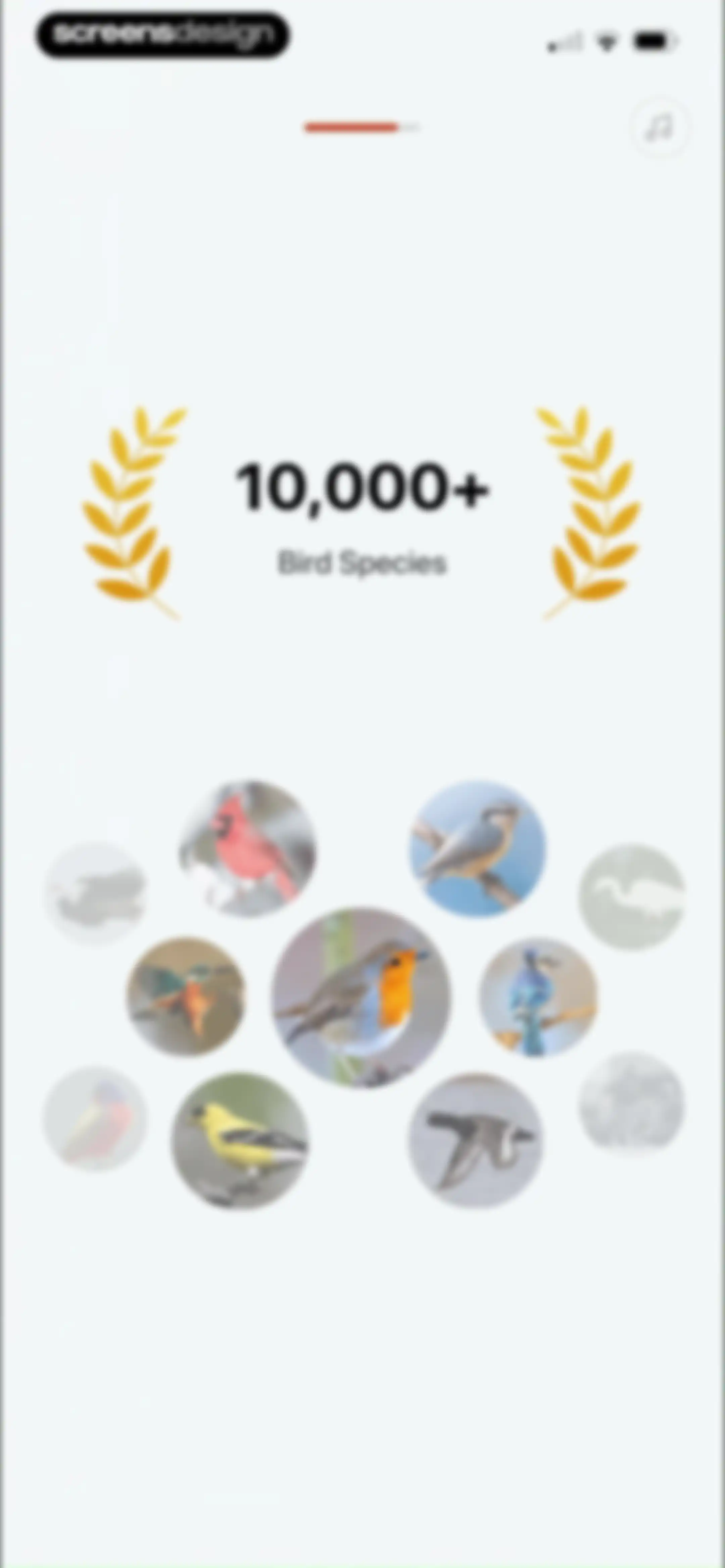 Picture Bird: Bird identifier screen 12
