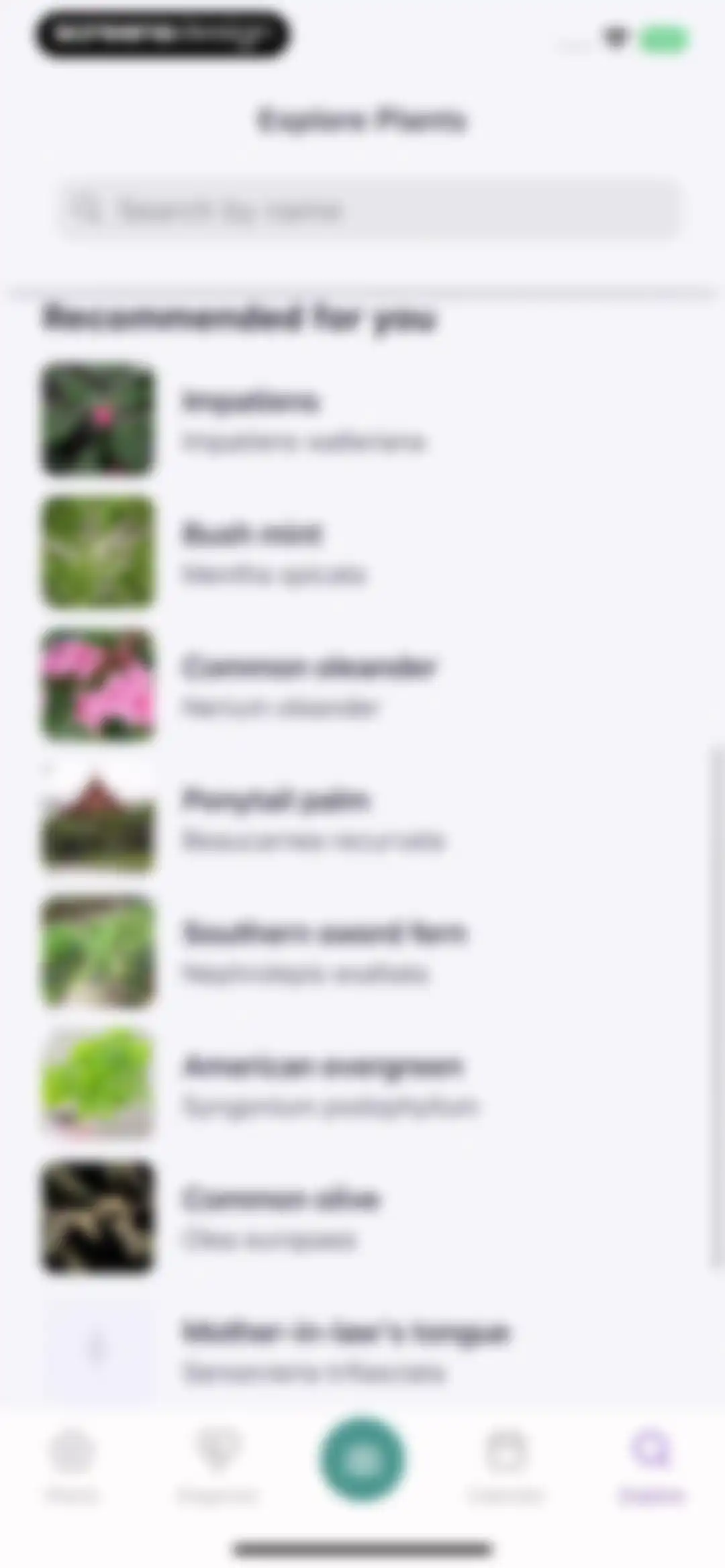 AI Plant Identifier・Care－Lily screen 58
