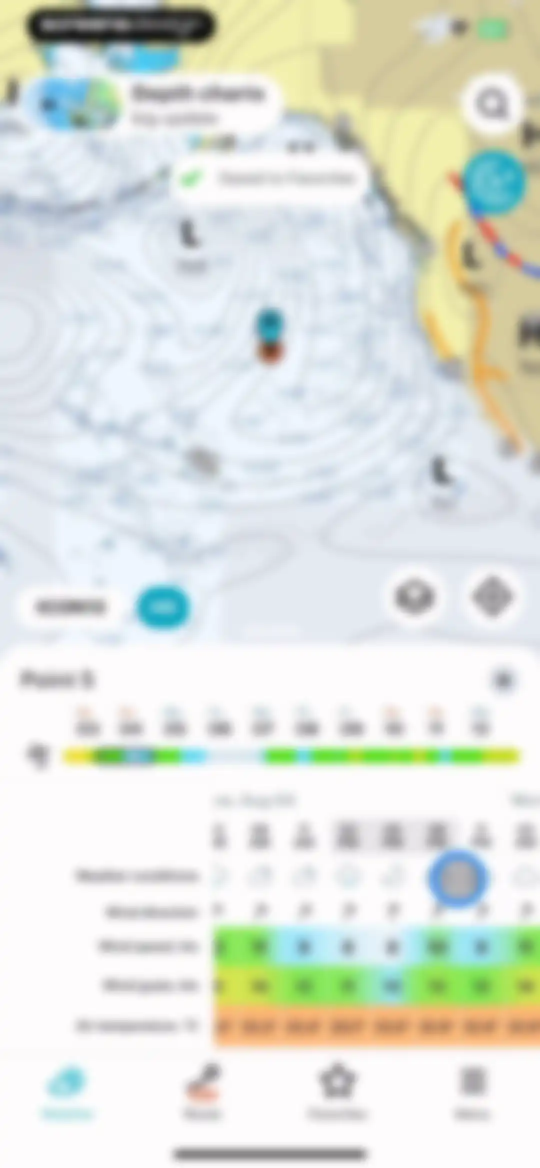 WindHub: Sailing Weather screen 42