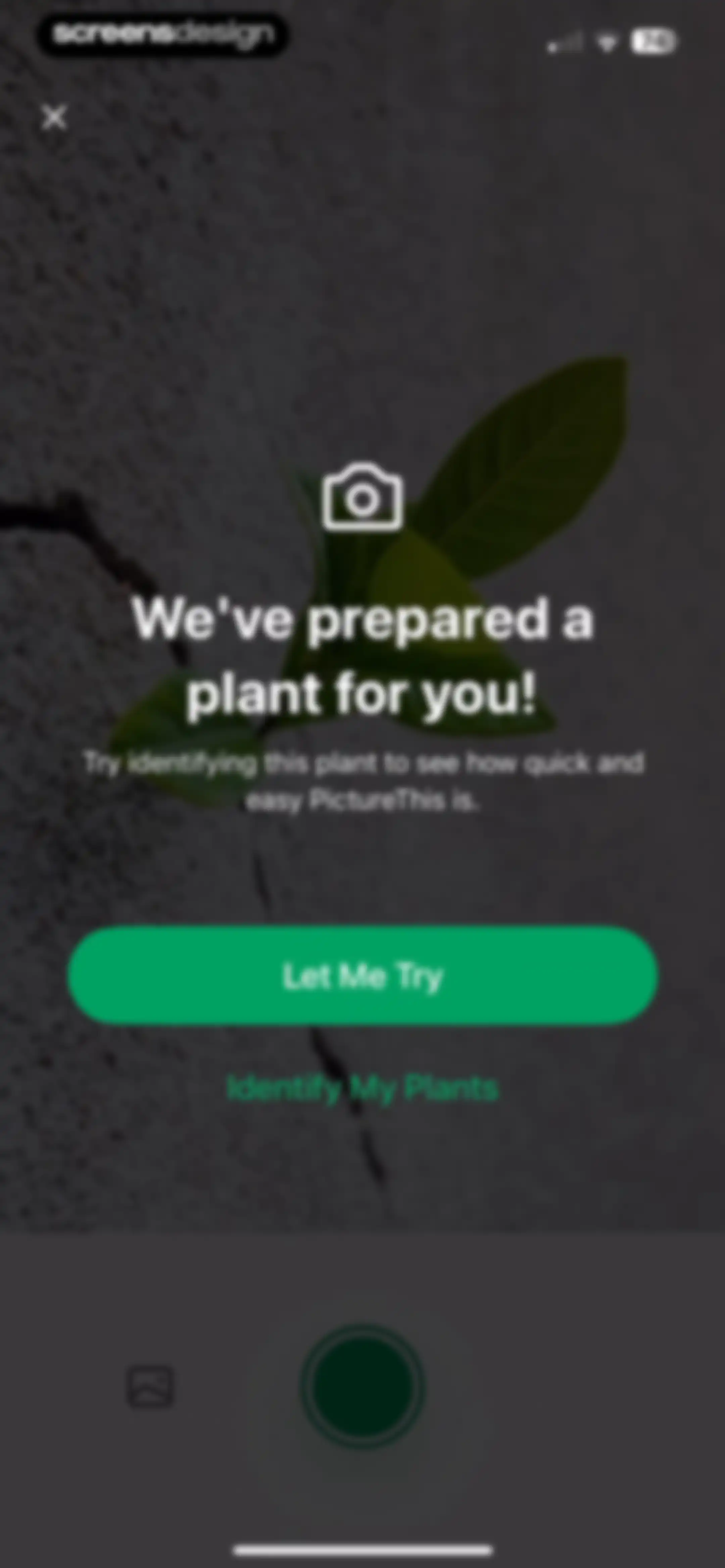 PictureThis - Plant Identifier screen 28