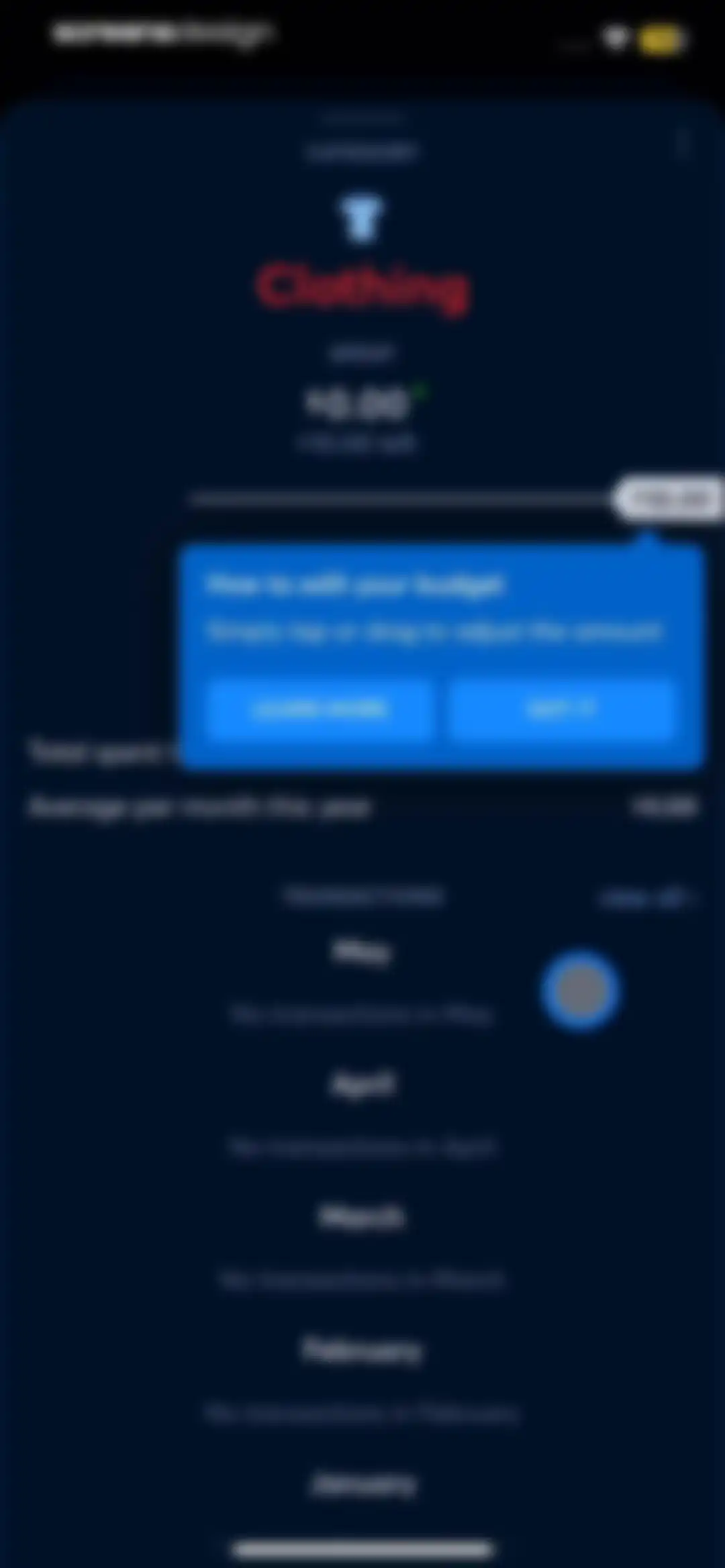 Copilot: Track & Budget Money screen 61