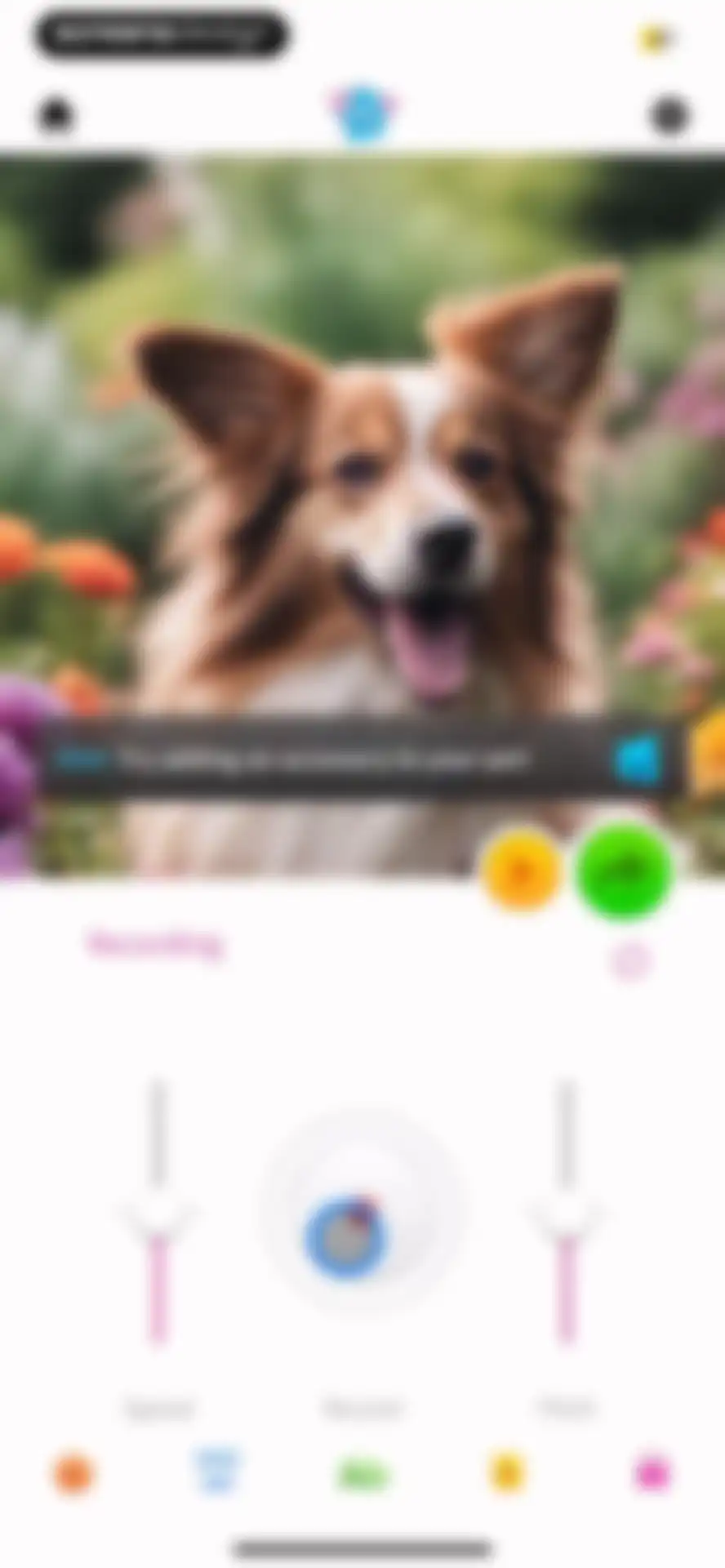 My Talking Pet screen 14